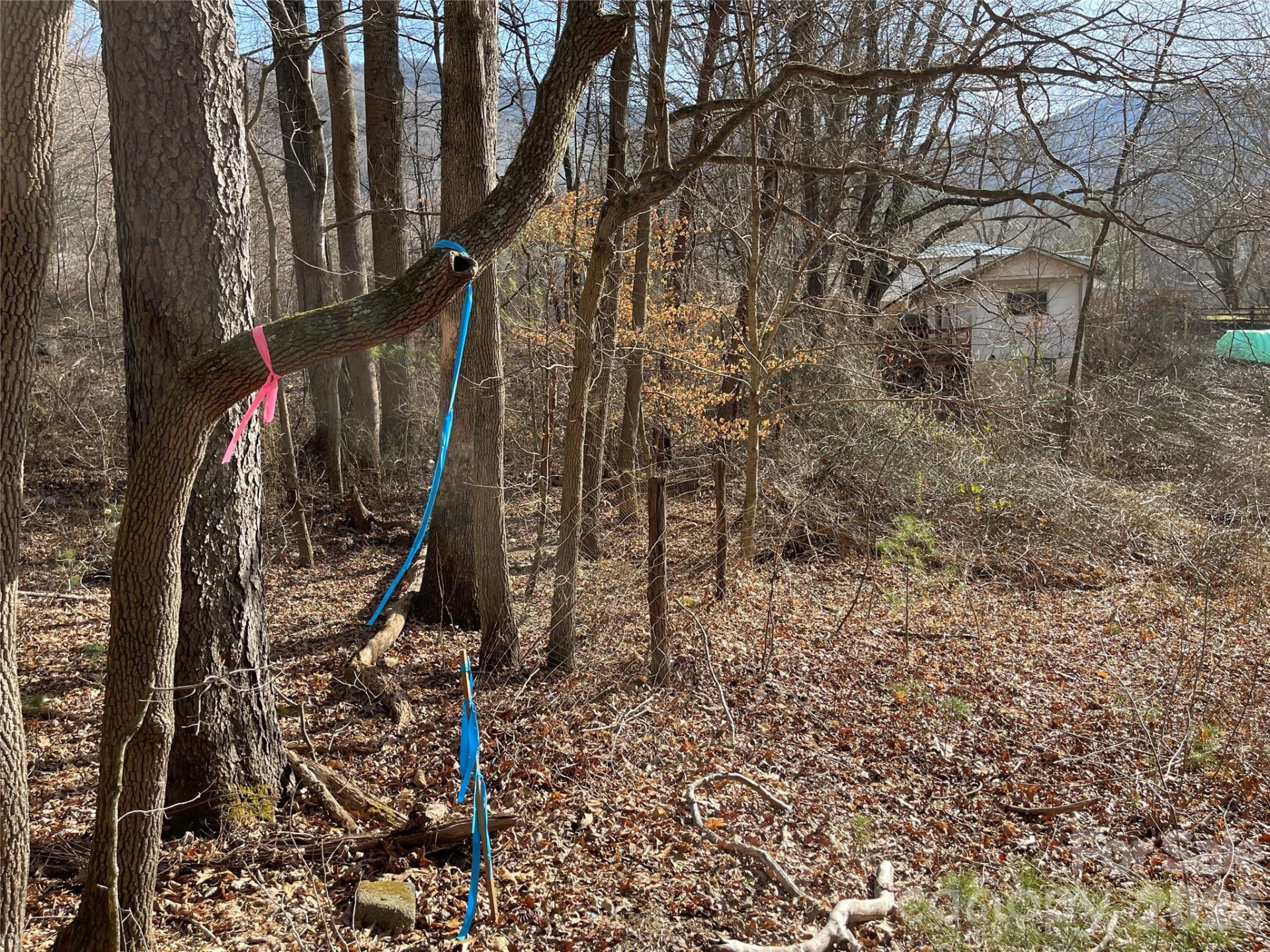 220 Max Metcalf Road - Photo 8