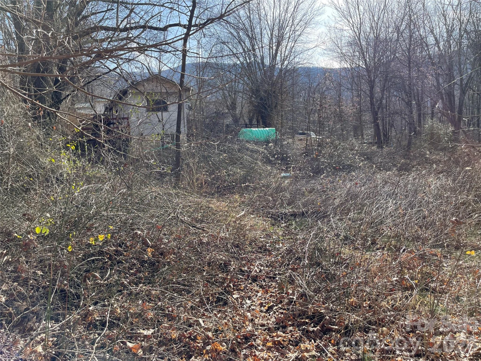 220 Max Metcalf Road - Photo 10