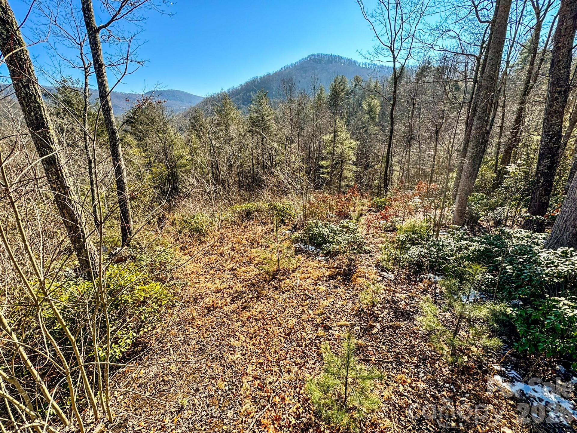 000 Silverglen Way #33 - Photo 11