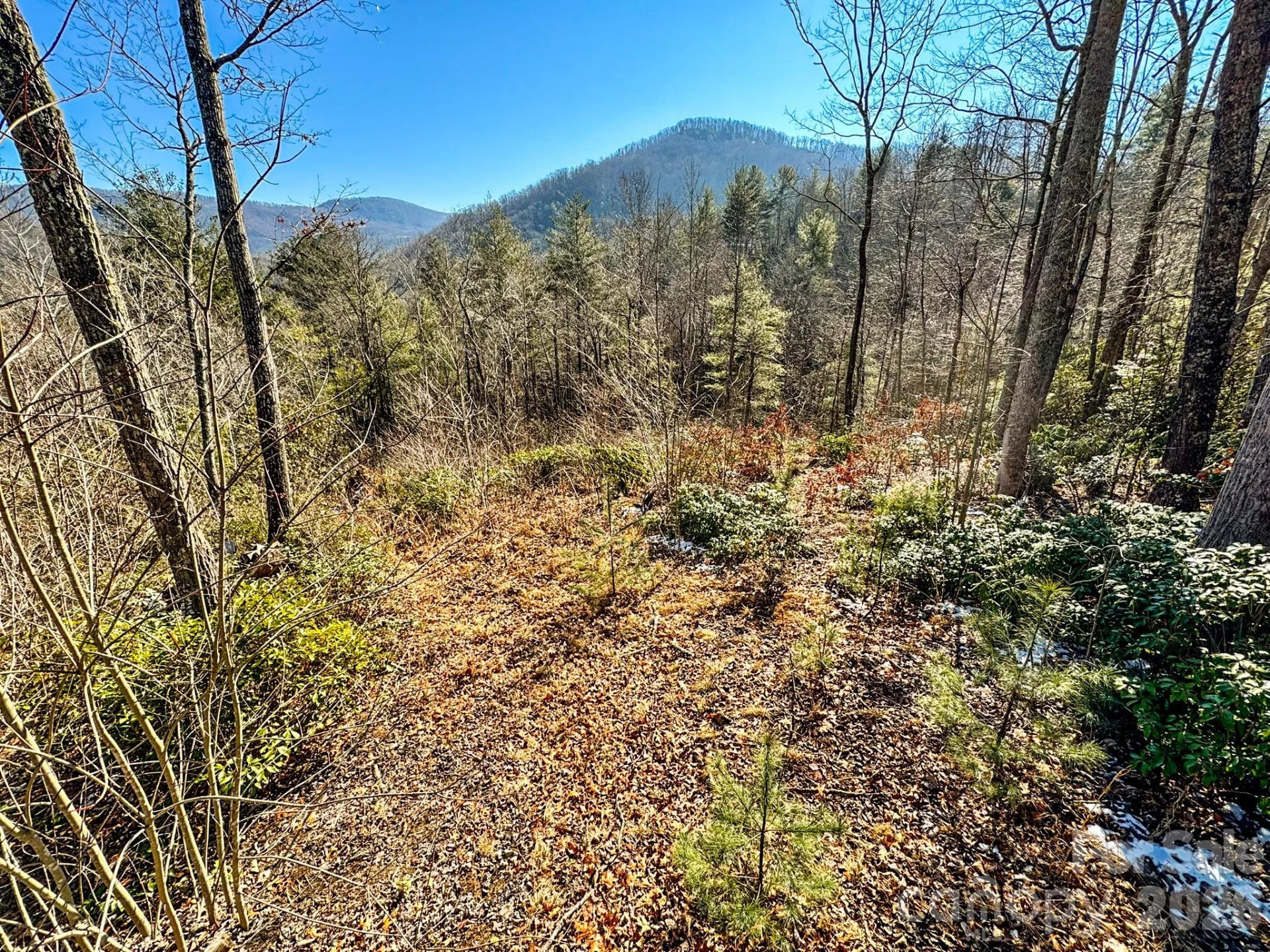 000 Silverglen Way #33 - Photo 11