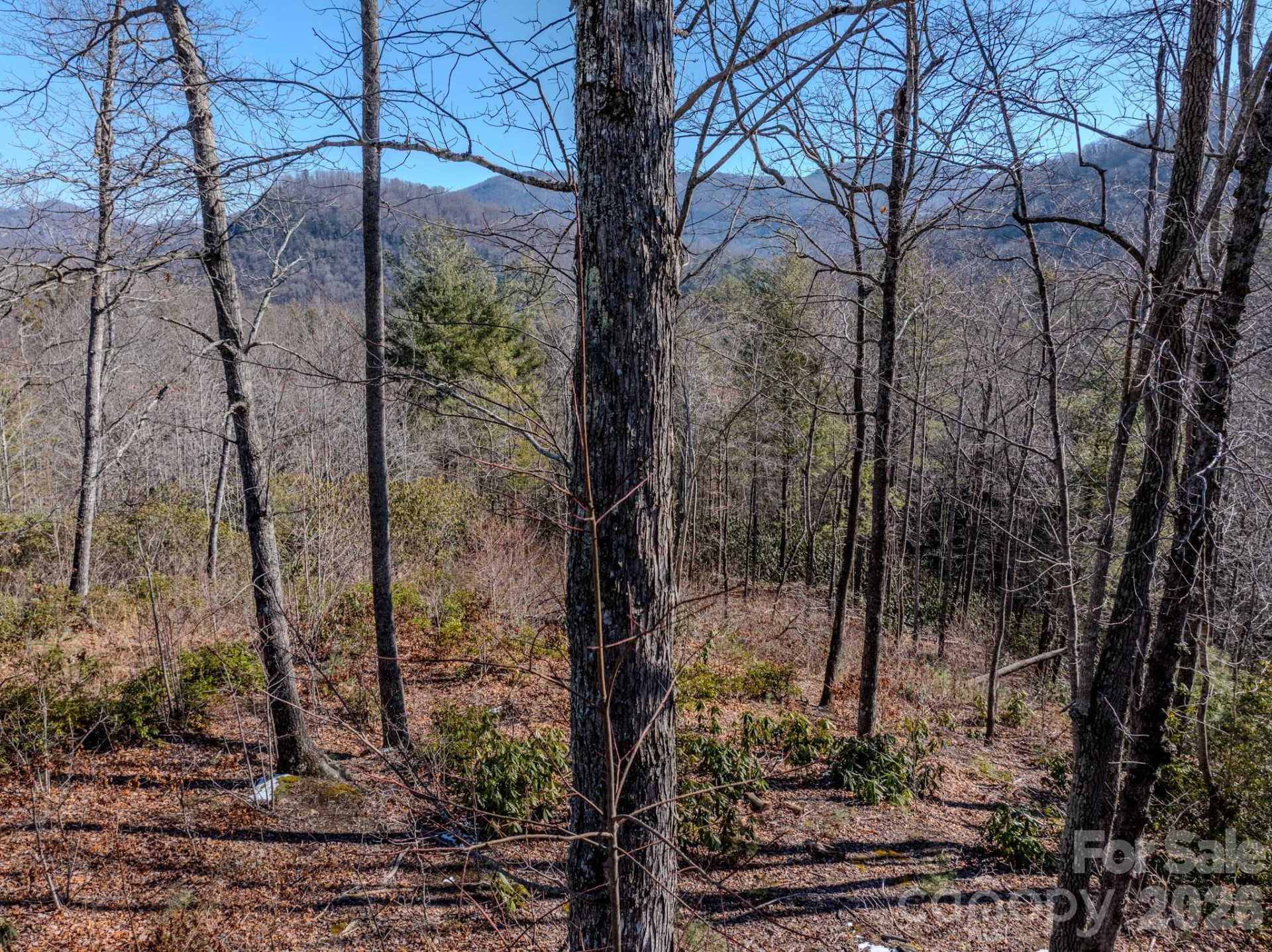 000 Silverglen Way #33 - Photo 19