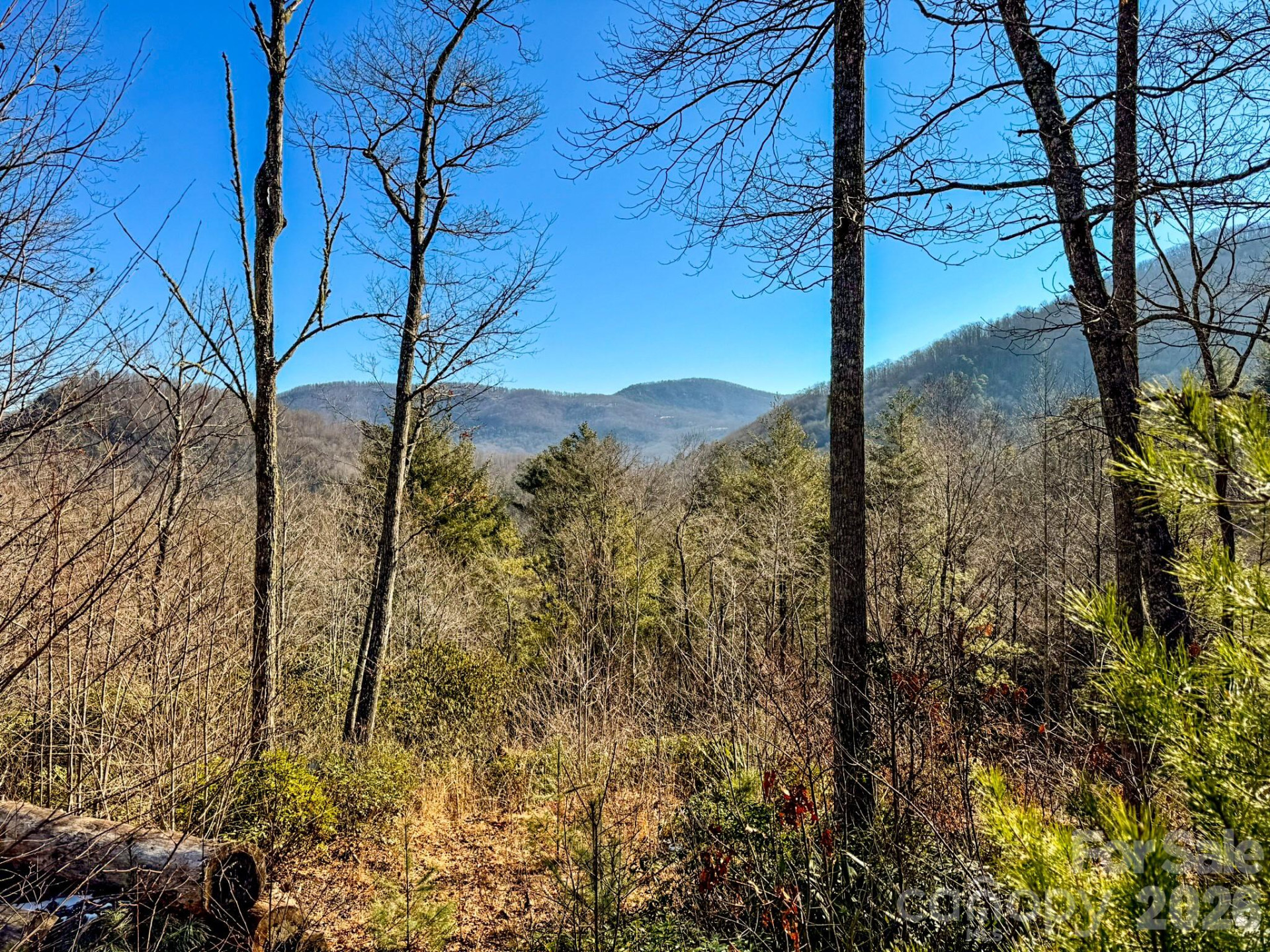 000 Silverglen Way #33 - Photo 8