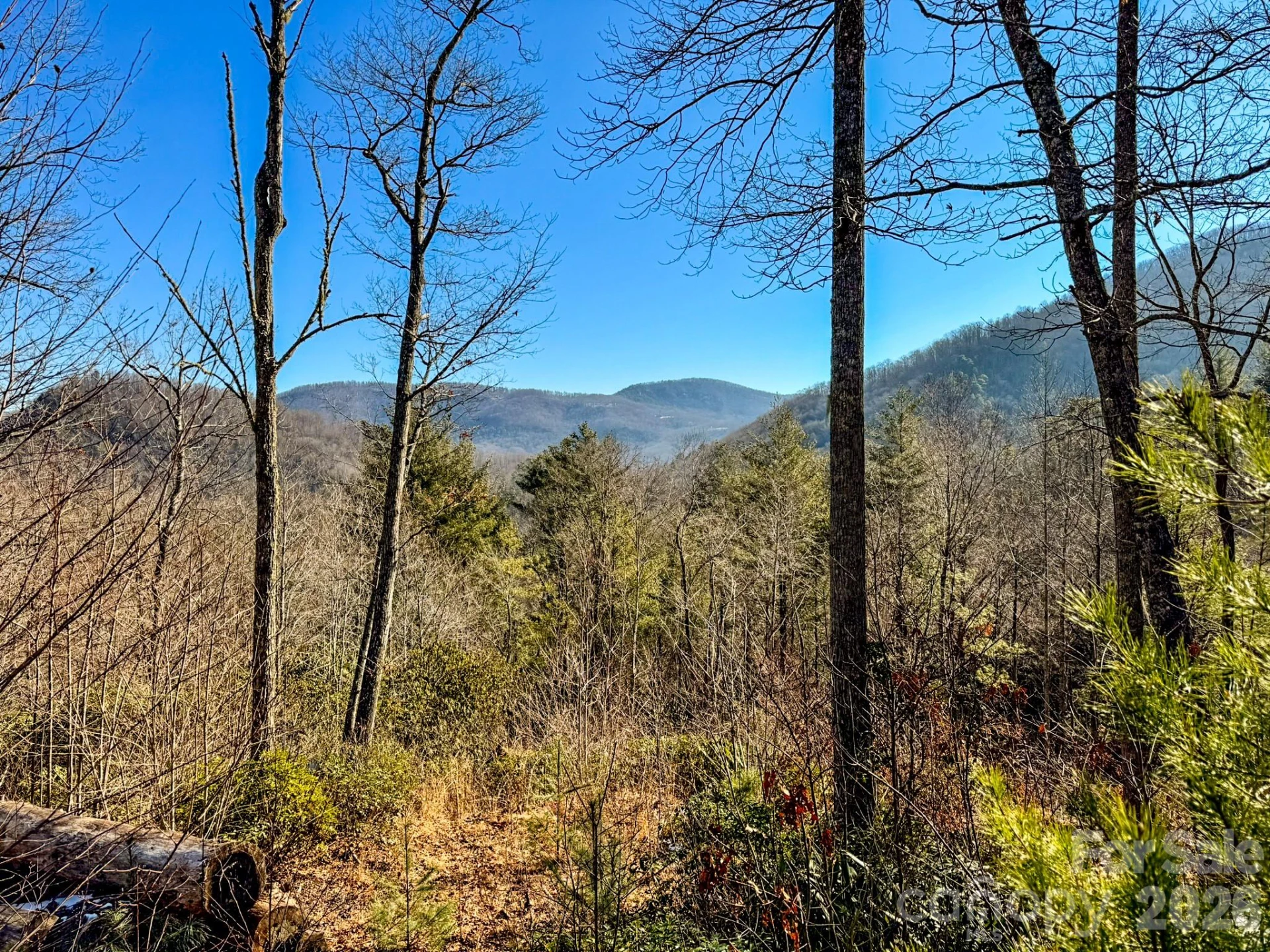 000 Silverglen Way #33 - Photo 8