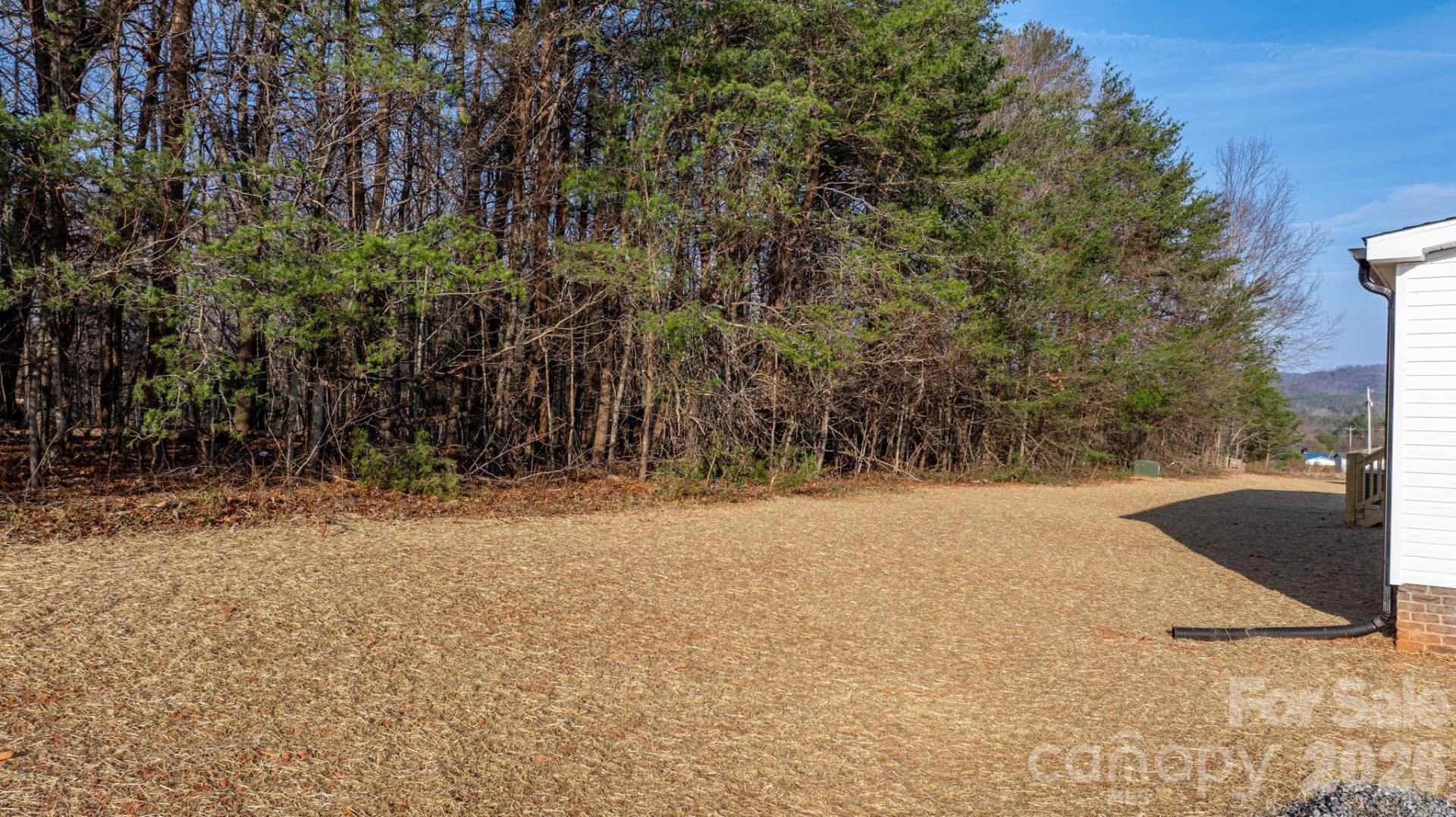 4951 Rhoney Road - Photo 32
