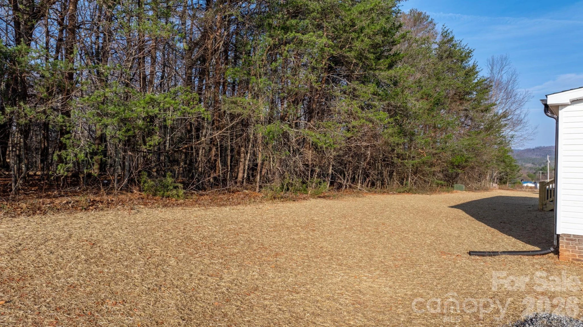 4951 Rhoney Road - Photo 32