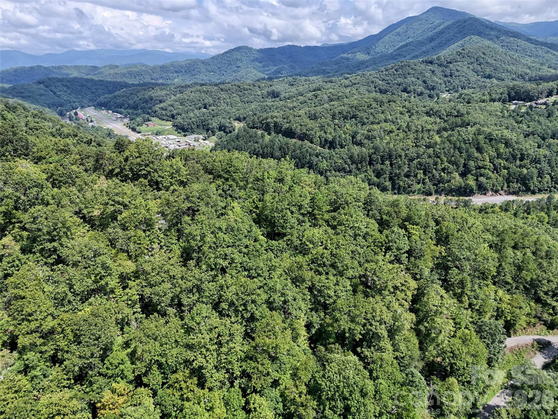 Lot 2 Blue Mist Trail - Photo 11