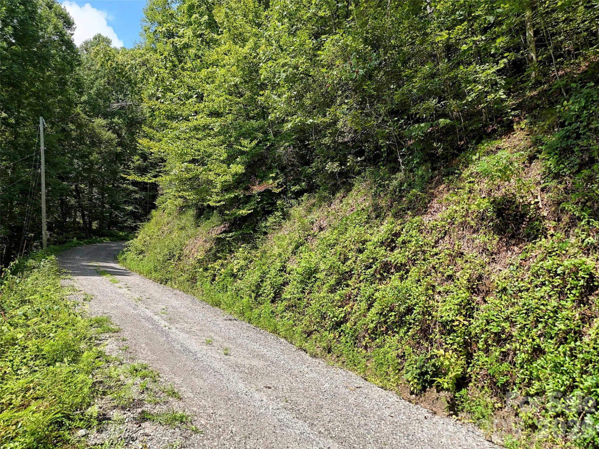 Lot 2 Little Bit Trail - Photo 12