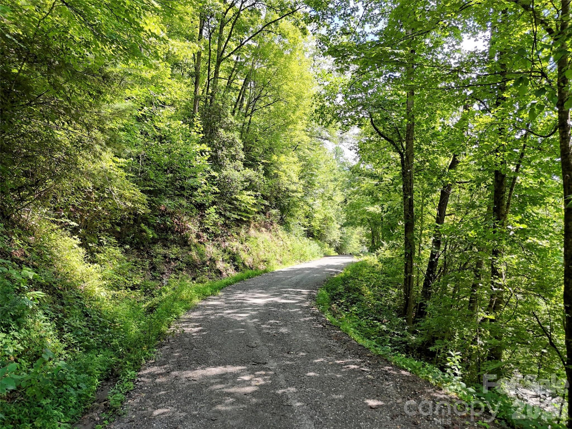 Lot 2 Blue Mist Trail - Photo 13