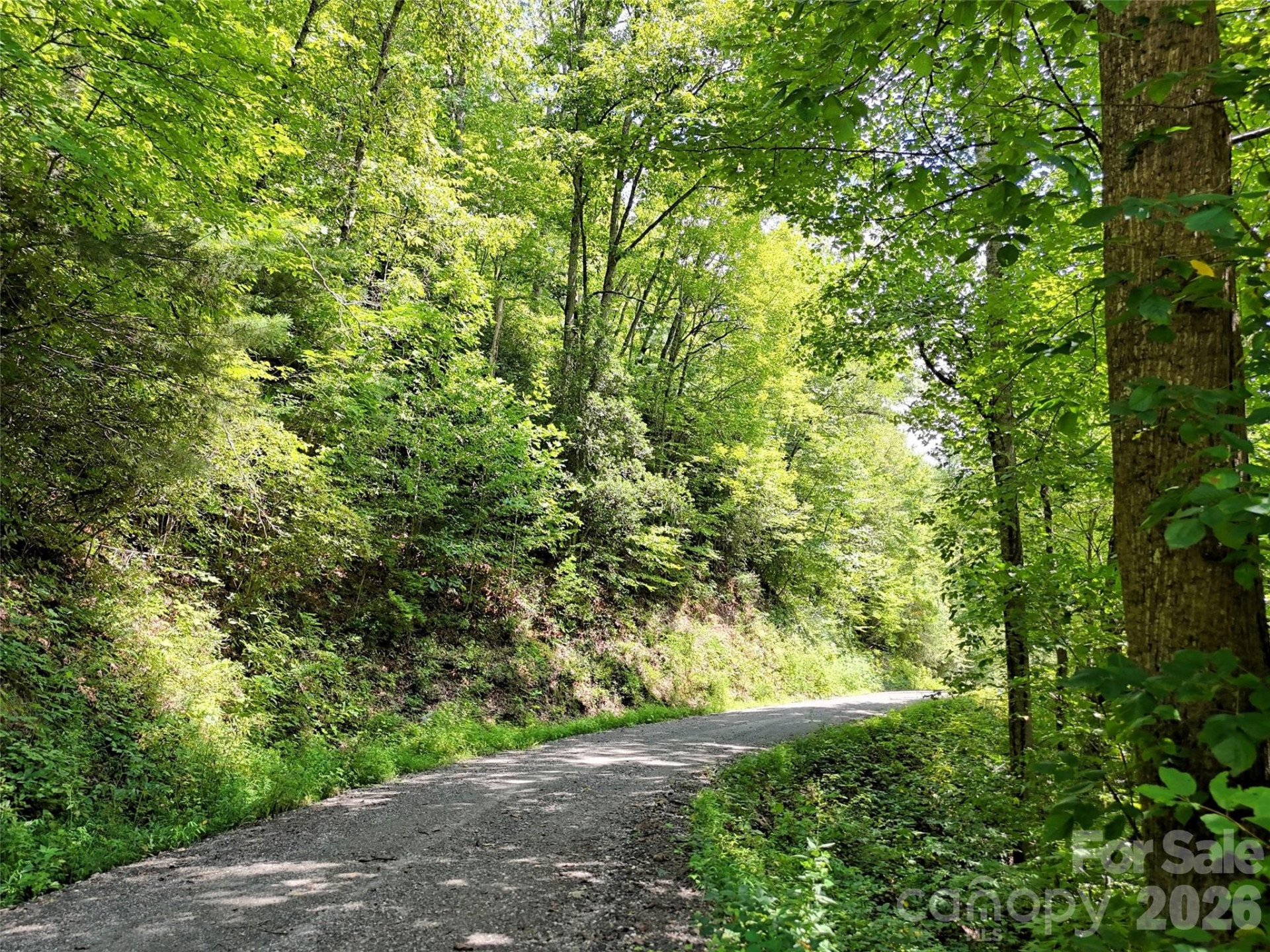 Lot 2 Blue Mist Trail - Photo 14