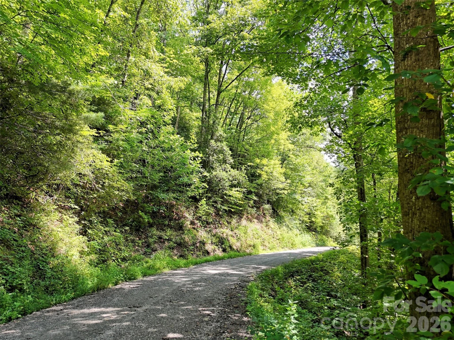 Lot 2 Little Bit Trail - Photo 14