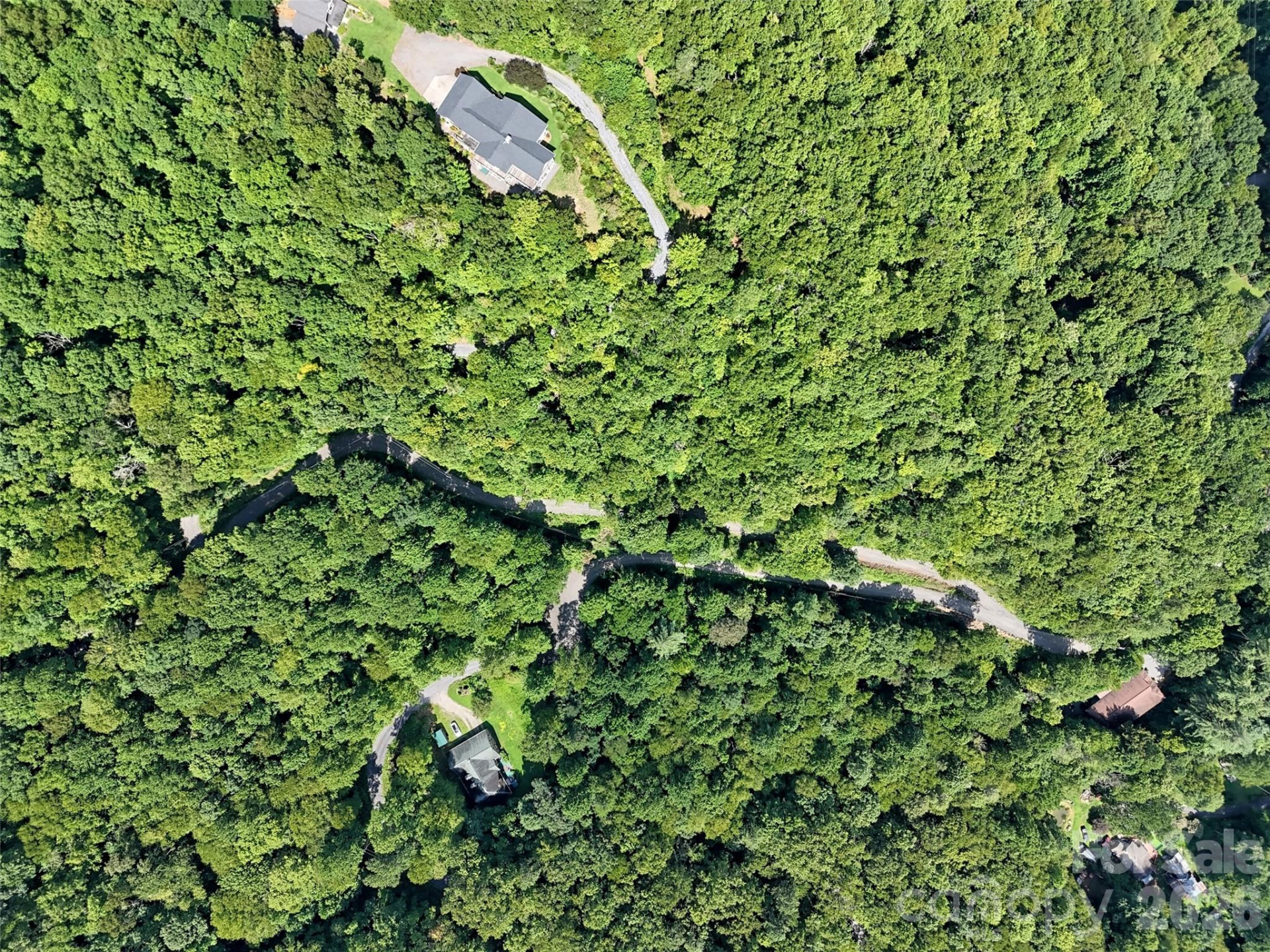 Lot 2 Blue Mist Trail - Photo 4