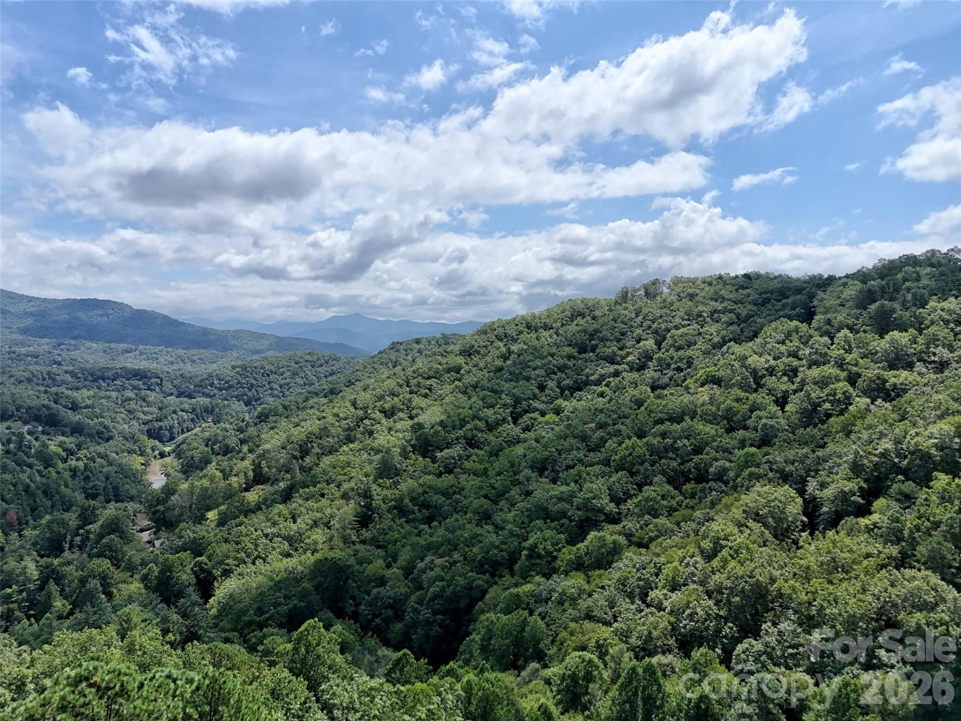 Lot 2 Blue Mist Trail - Photo 9