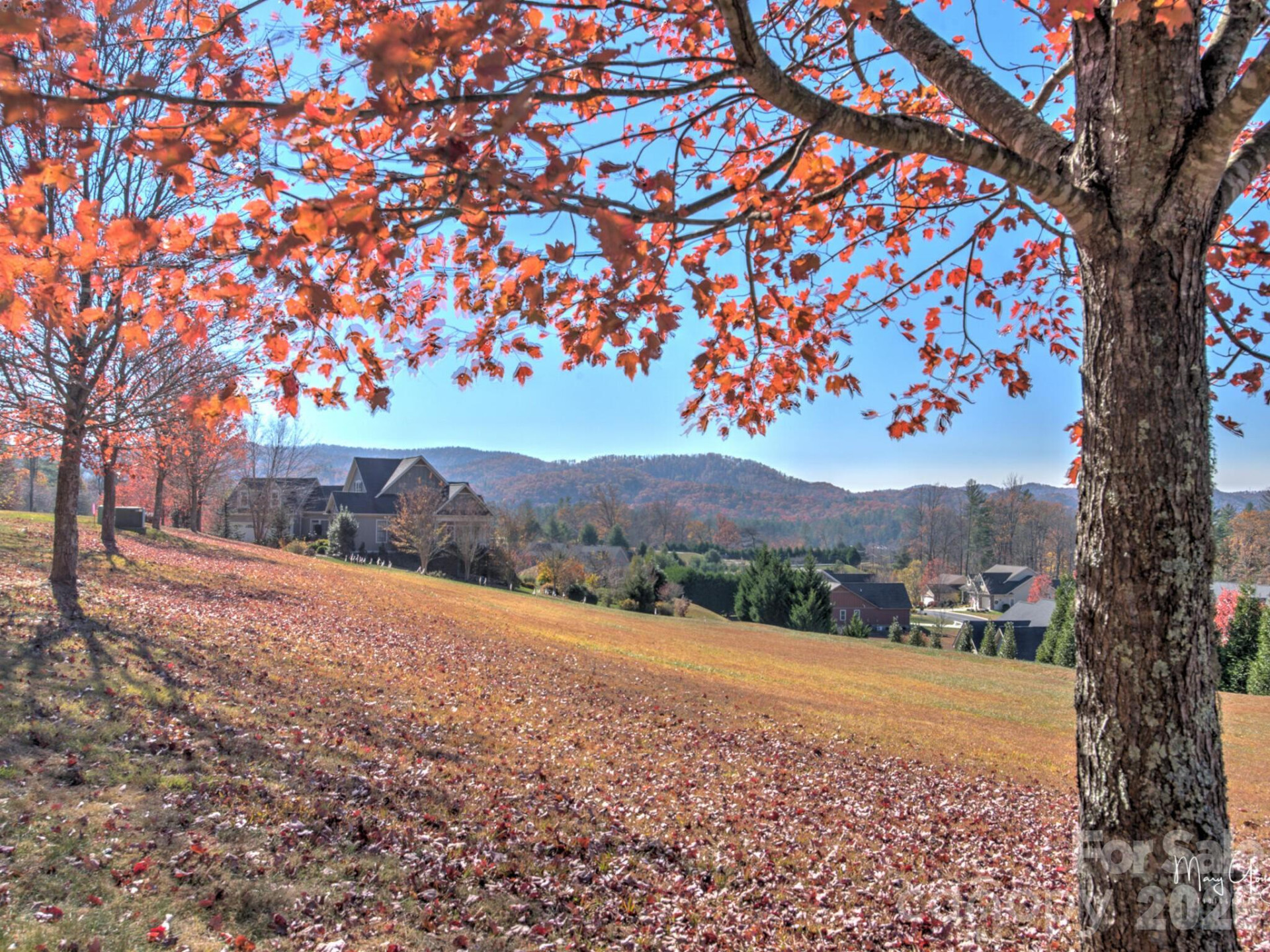 2208 Cumming Woods Lane - Photo 33