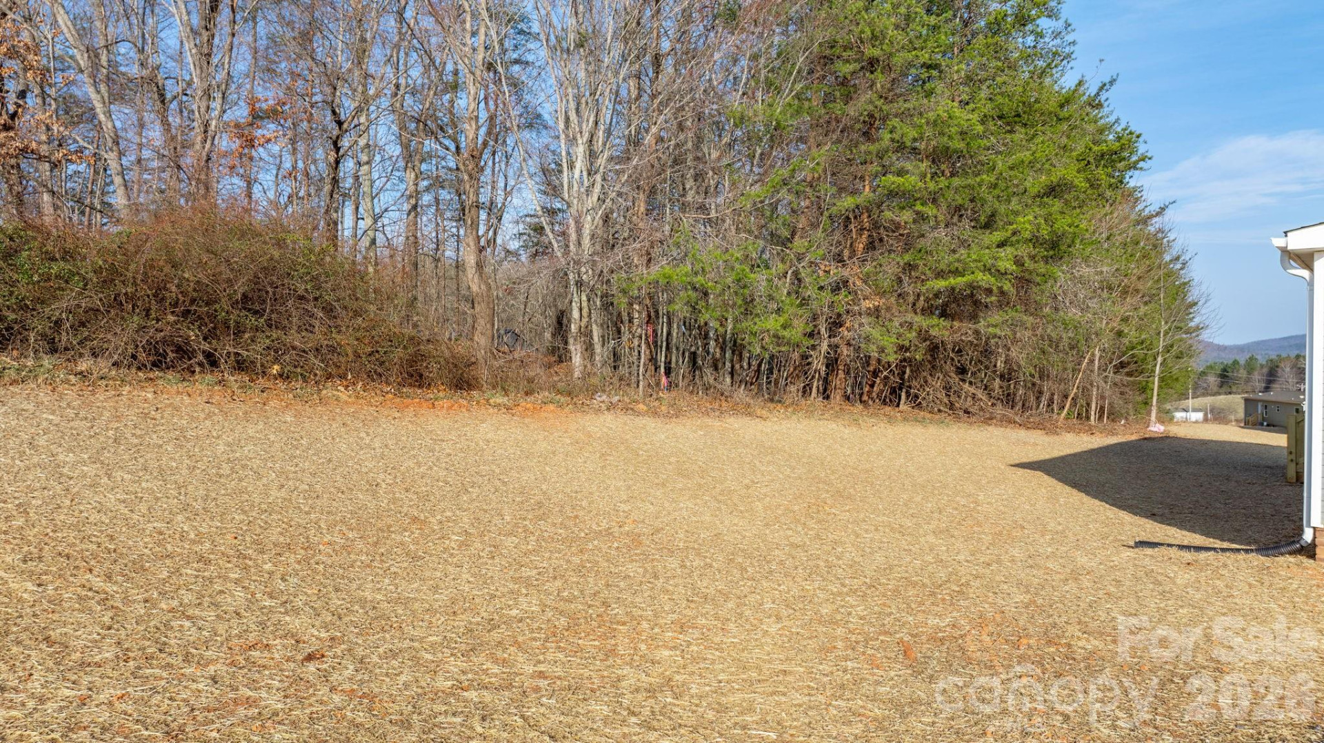 4935 Rhoney Road - Photo 35