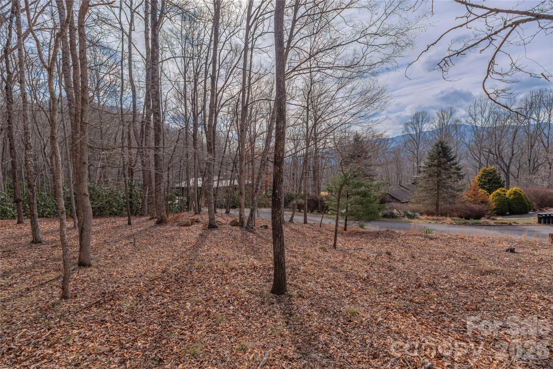 1345 Country Club Drive - Photo 2