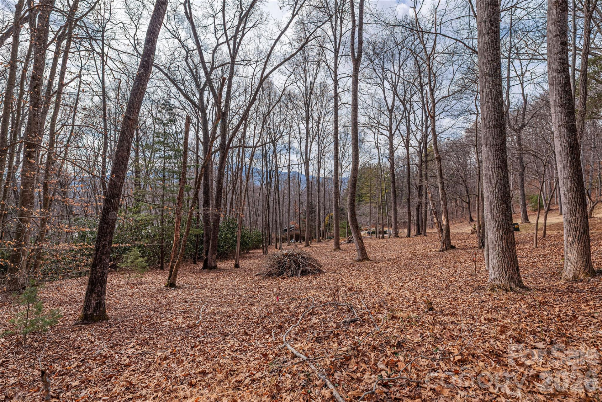 1345 Country Club Drive - Photo 3