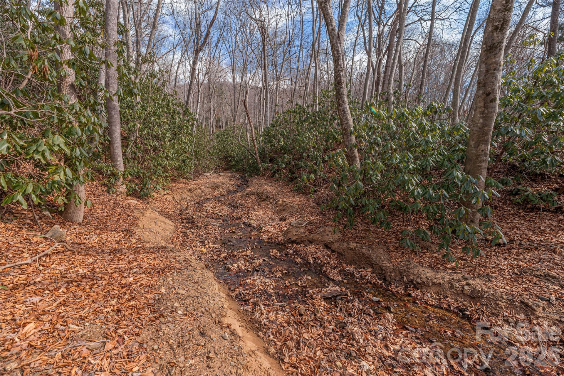 1345 Country Club Drive - Photo 4