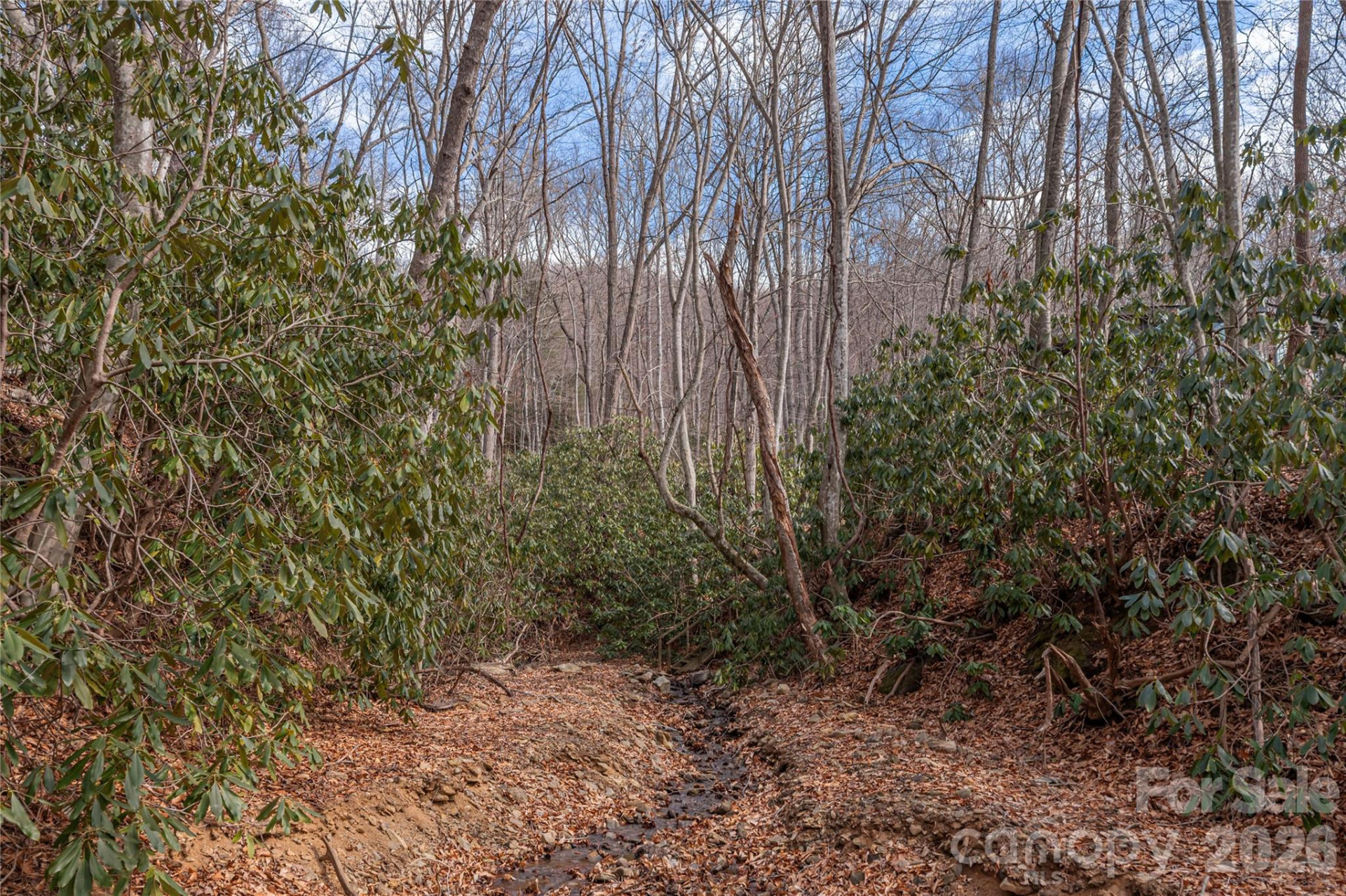 1345 Country Club Drive - Photo 5