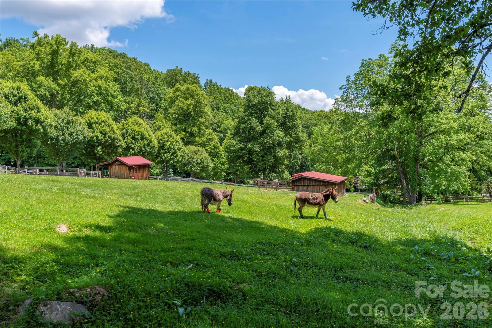 Lot 4 Mountain Watch Drive - Photo 22