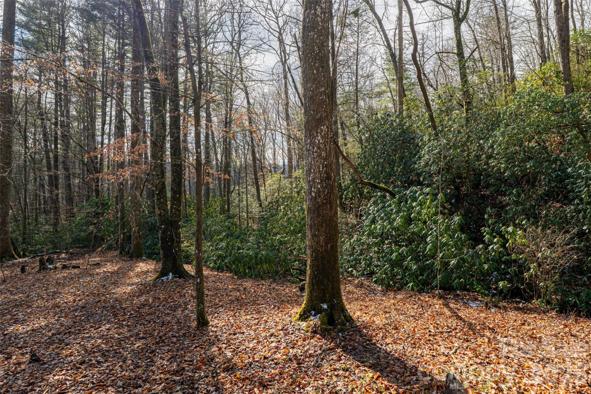 19 Forge Drive - Photo 29