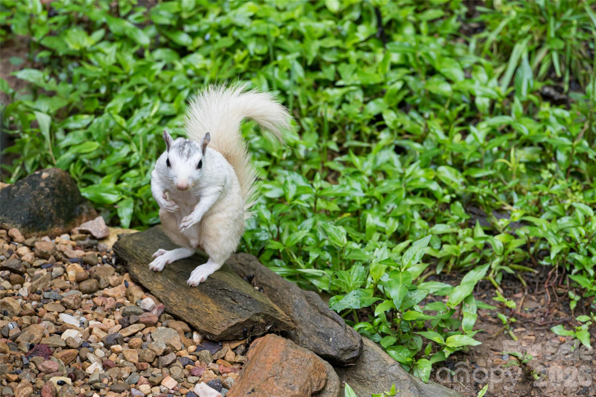 19 Forge Drive - Photo 32