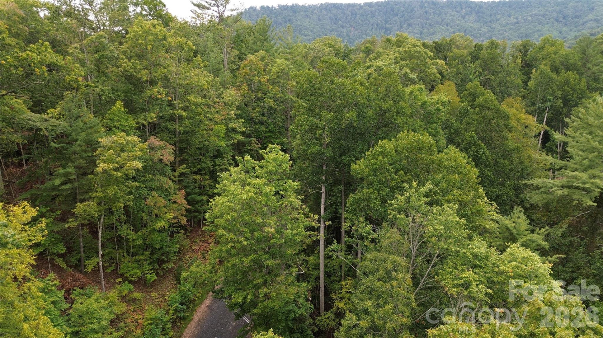 0000 High Peak Drive #16 - Photo 11