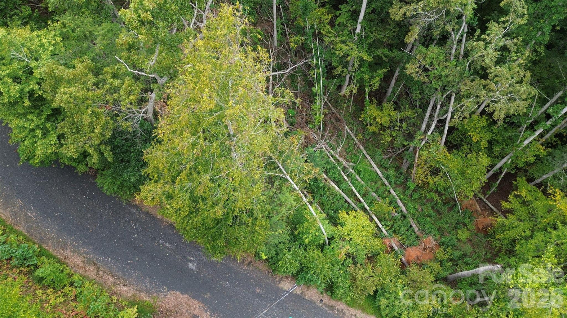 0000 High Peak Drive #16 - Photo 12