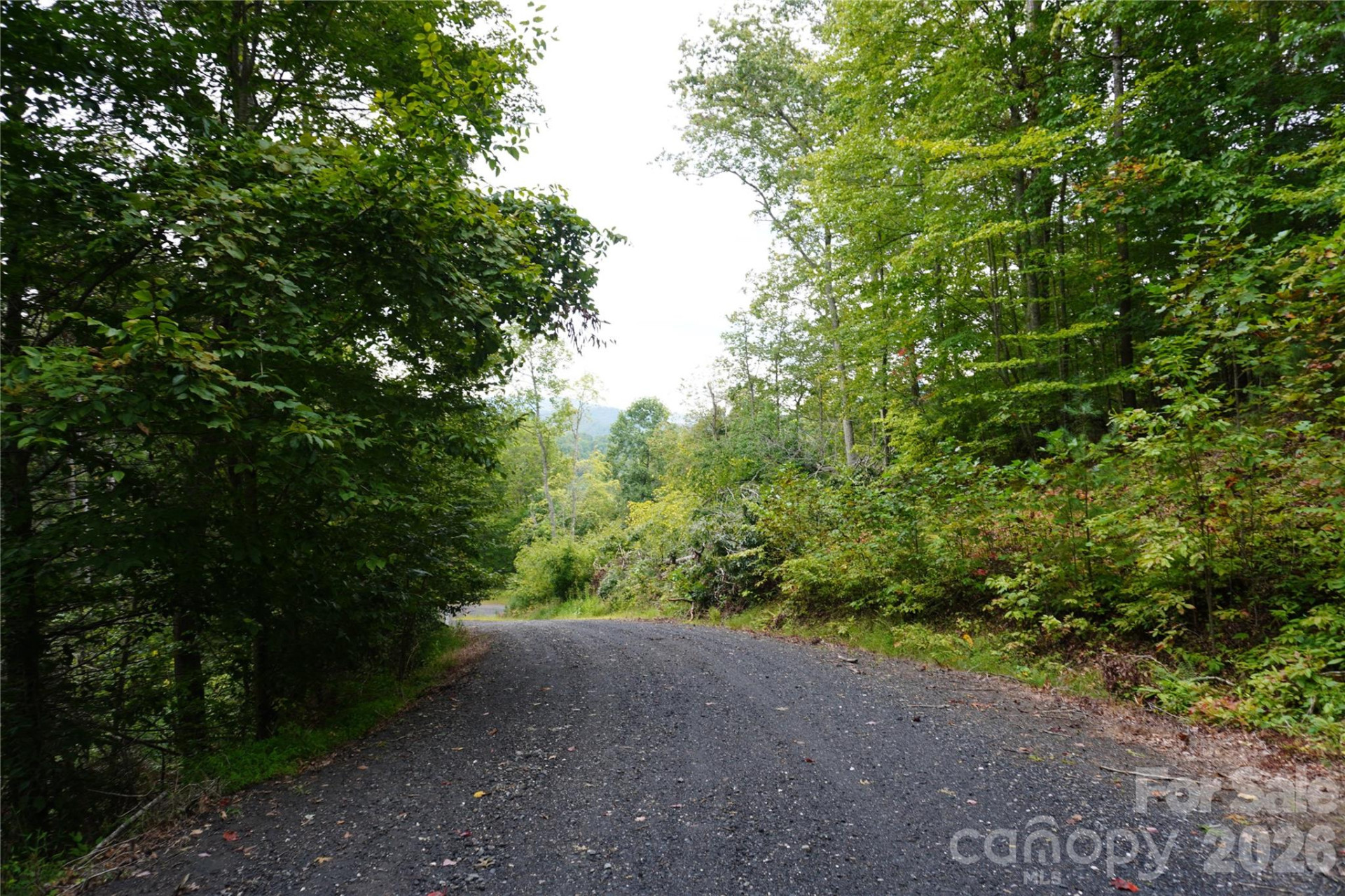 0000 High Peak Drive #16 - Photo 5