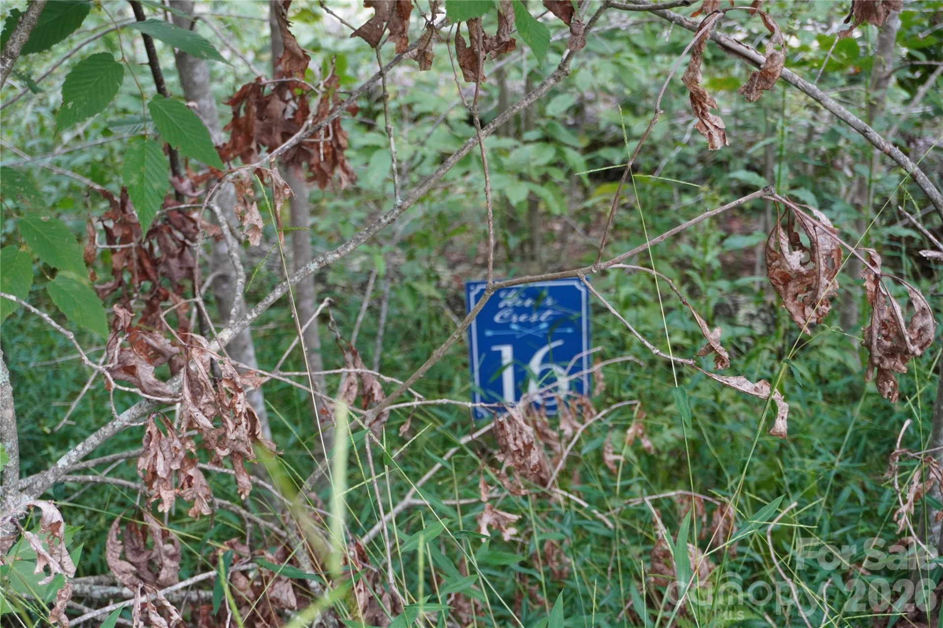 0000 High Peak Drive #16 - Photo 7