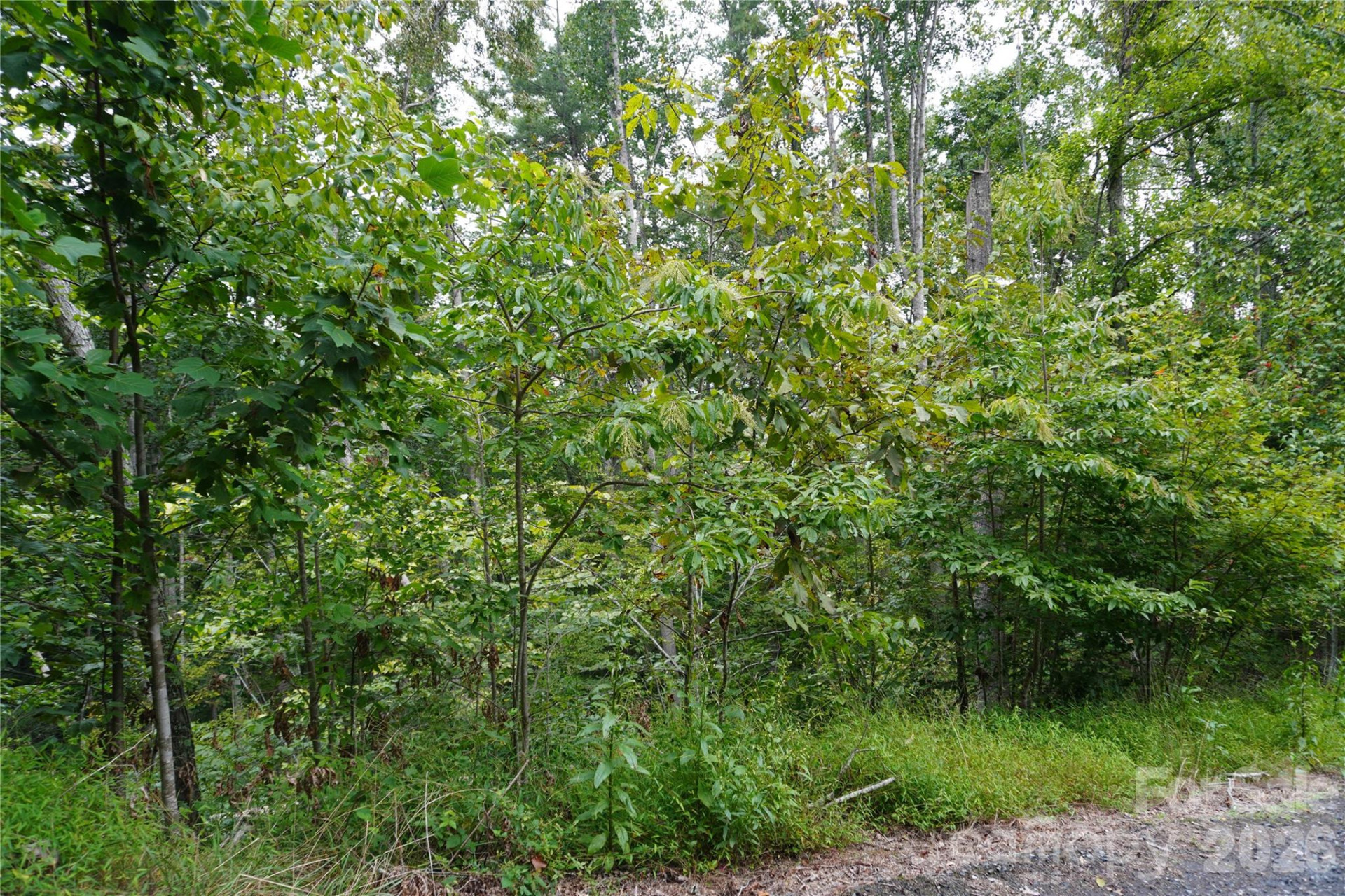 0000 High Peak Drive #16 - Photo 8