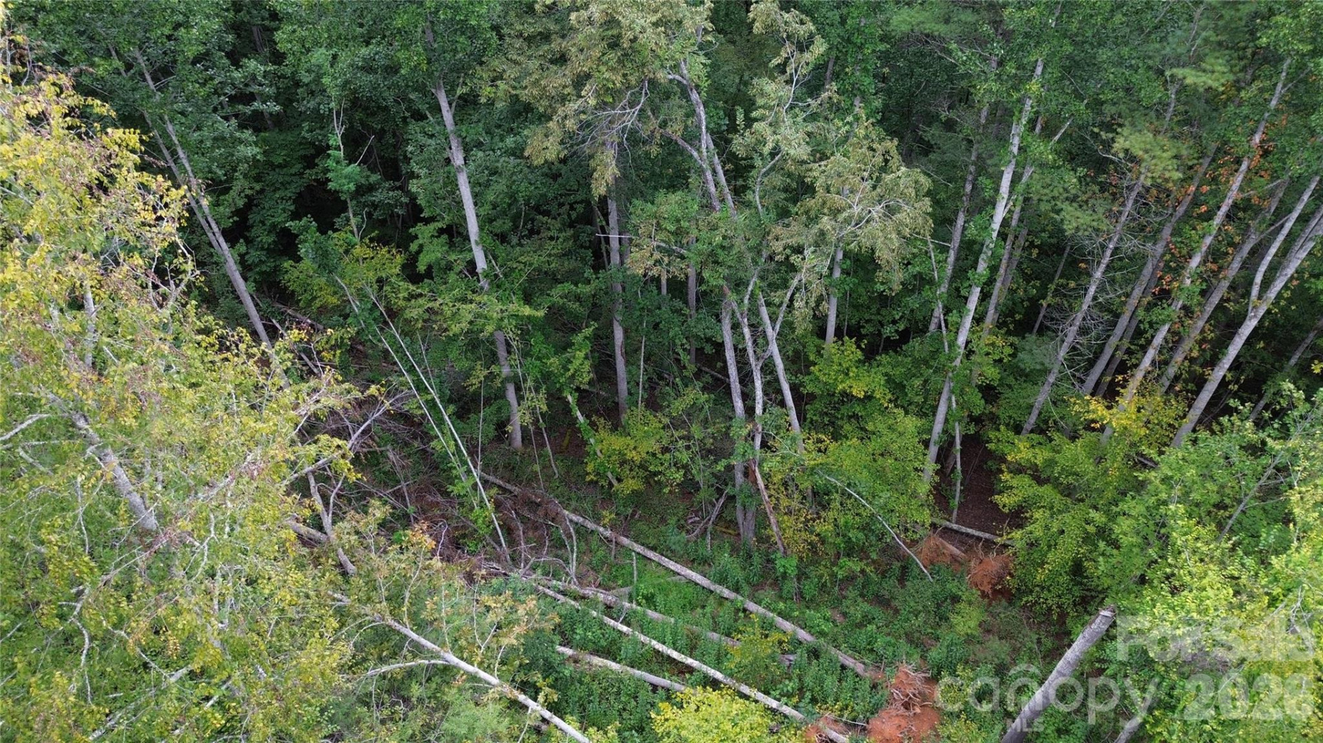 0000 High Peak Drive #16 - Photo 9