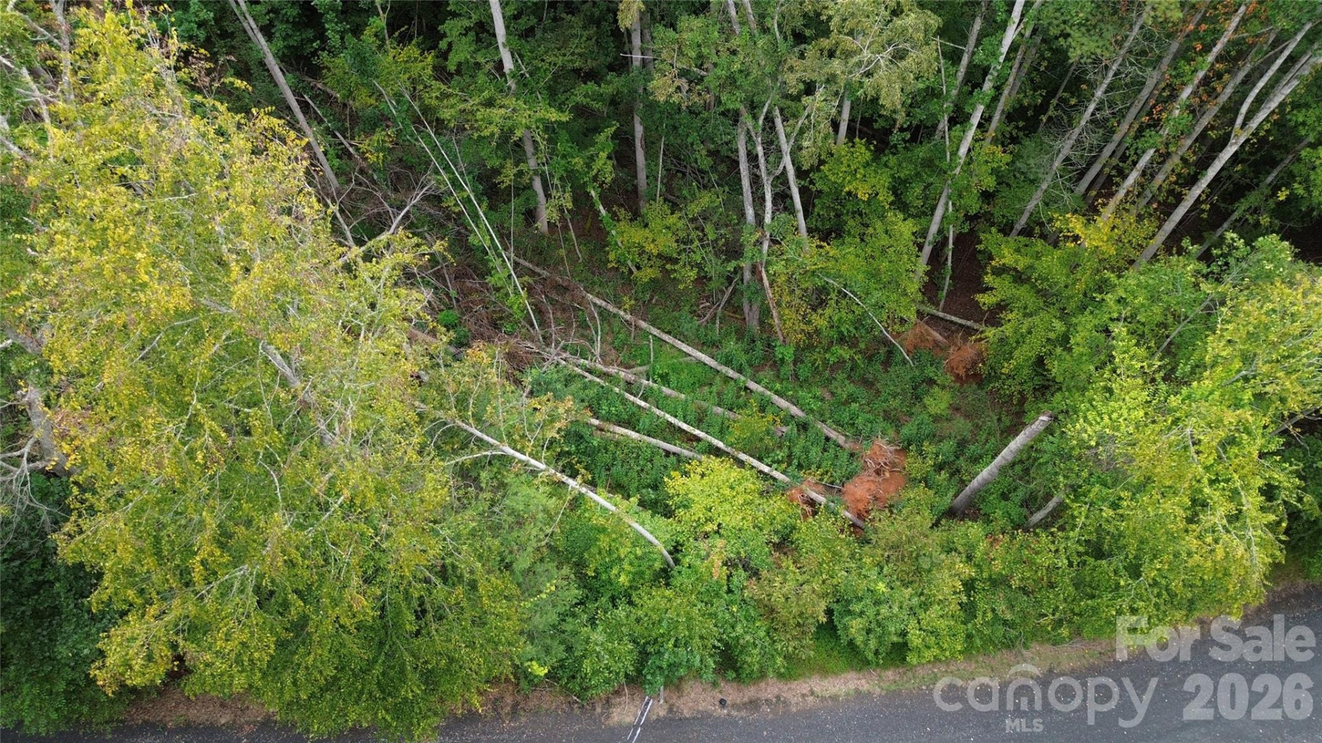 0000 High Peak Drive #16 - Photo 10