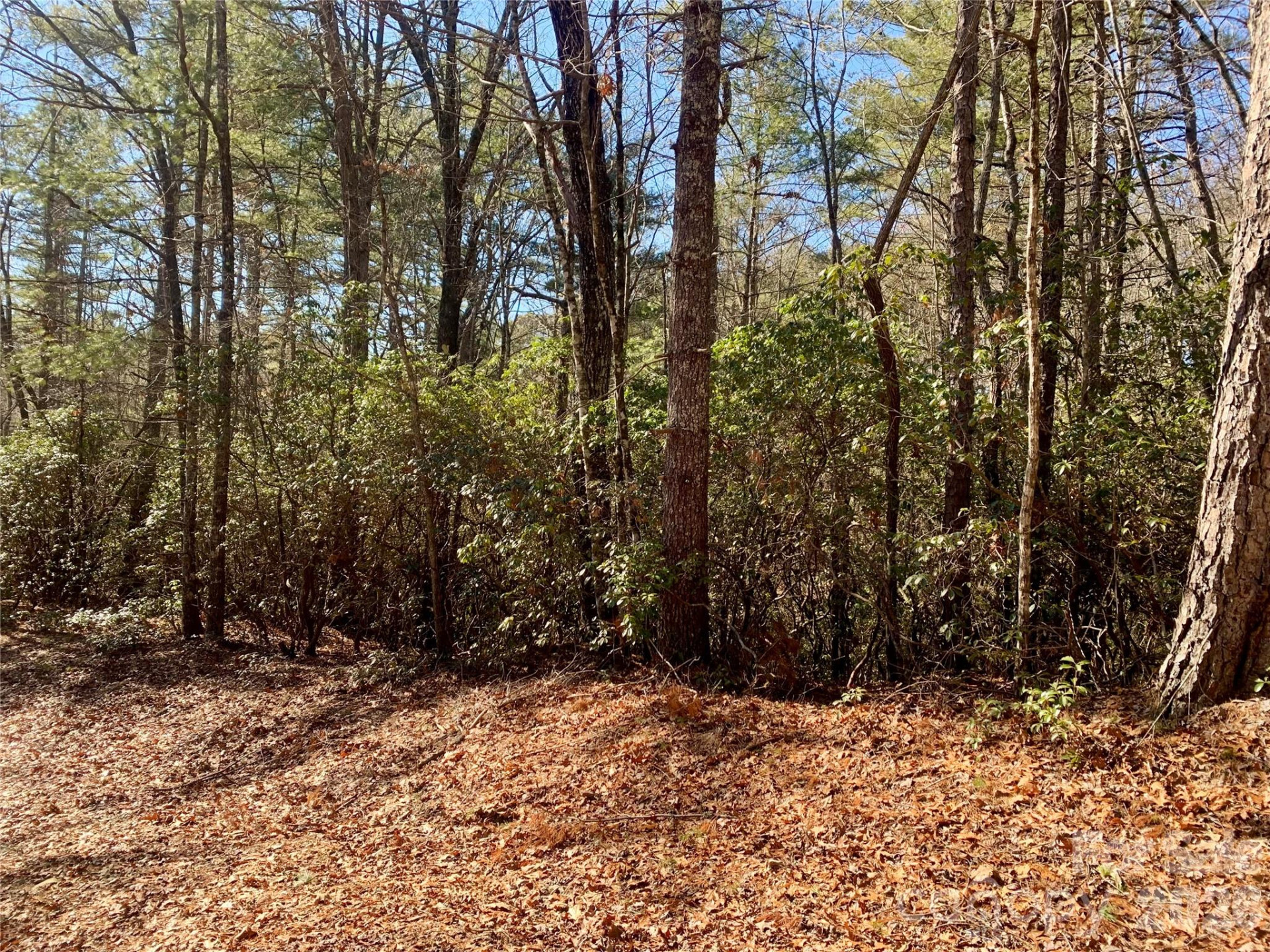 Lot 18 Oak Ridge Drive #18 - Photo 4