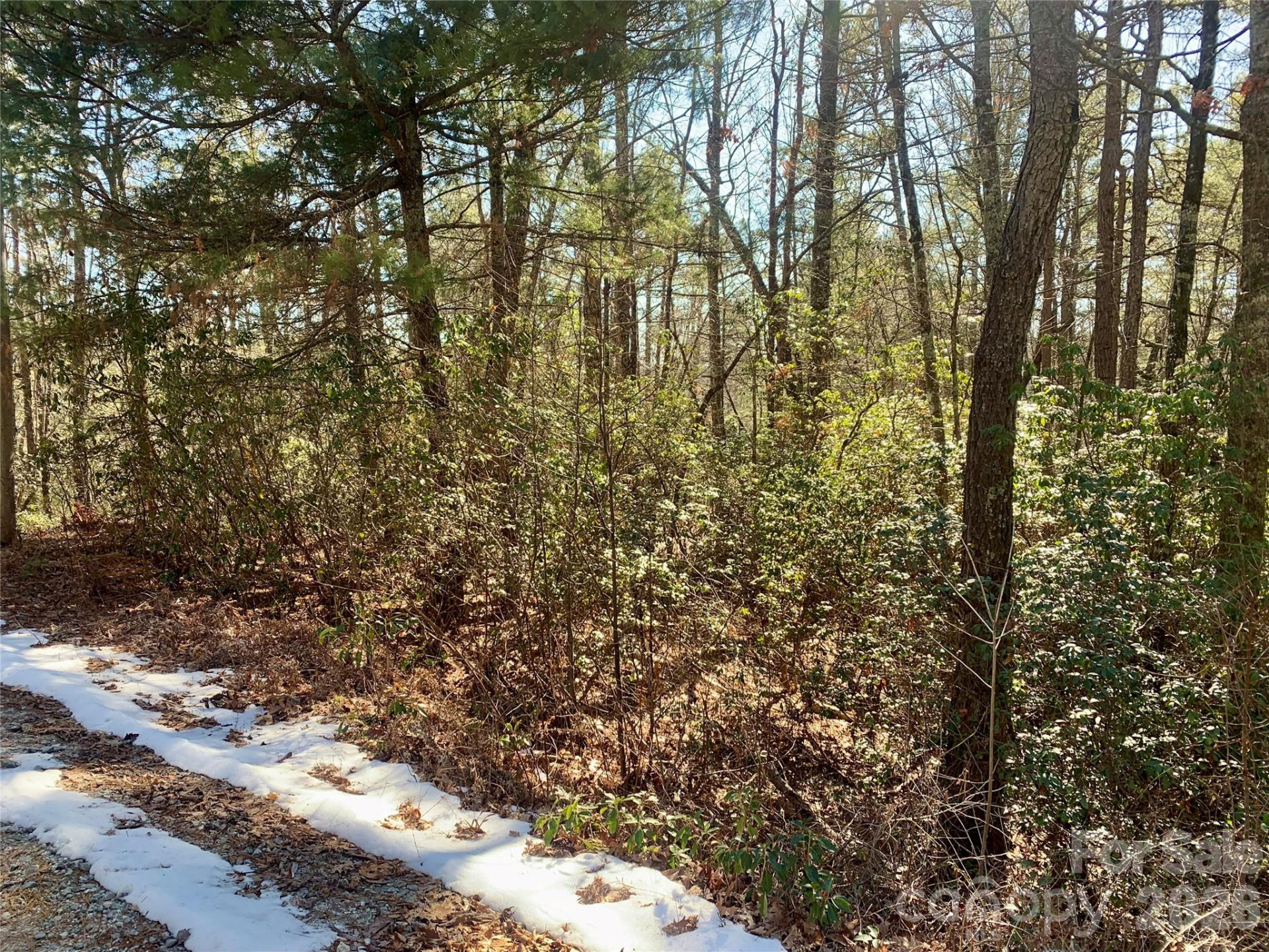 Lot 18 Oak Ridge Drive #18 - Photo 5