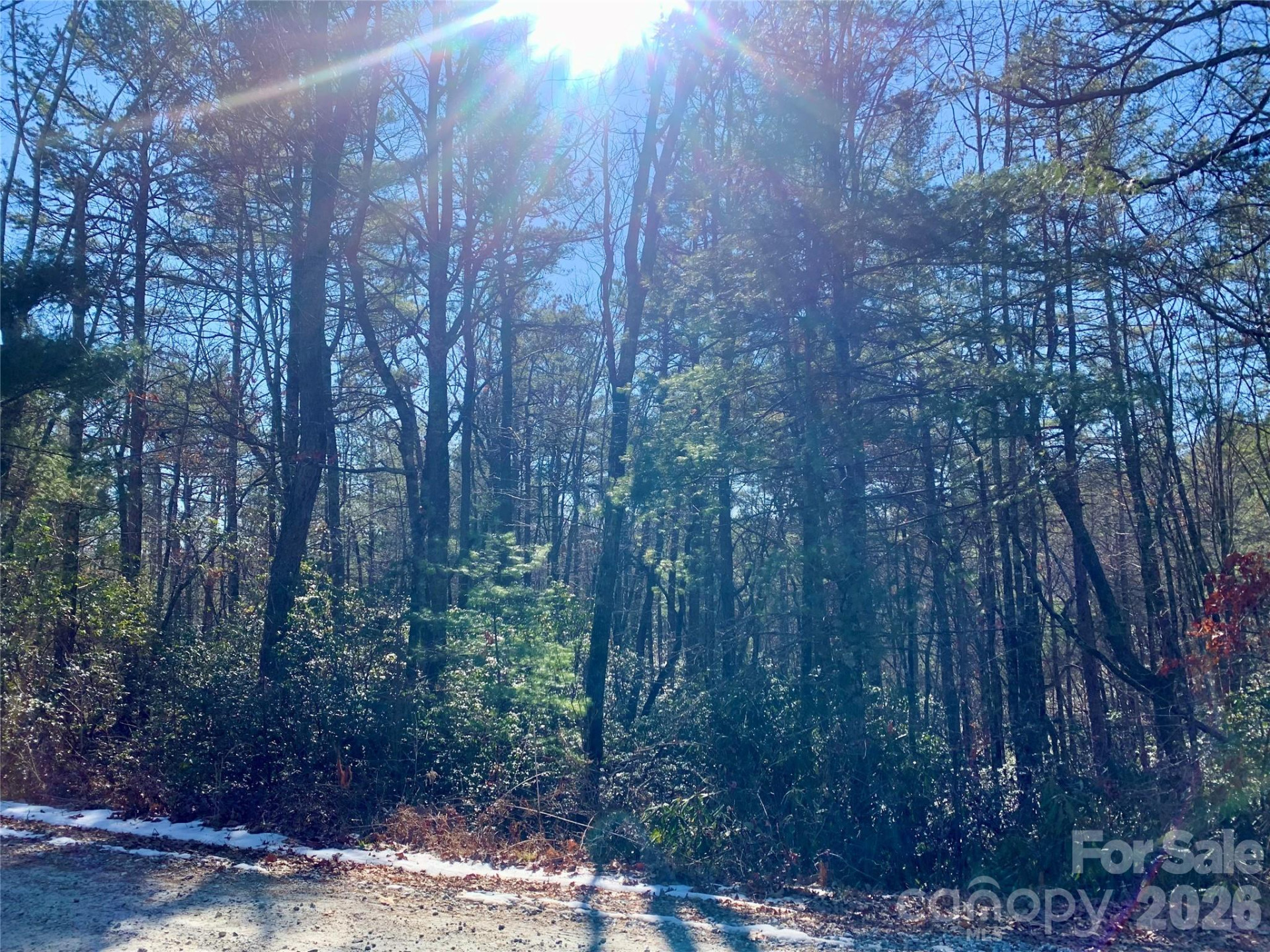 Lot 18 Oak Ridge Drive #18 - Photo 6