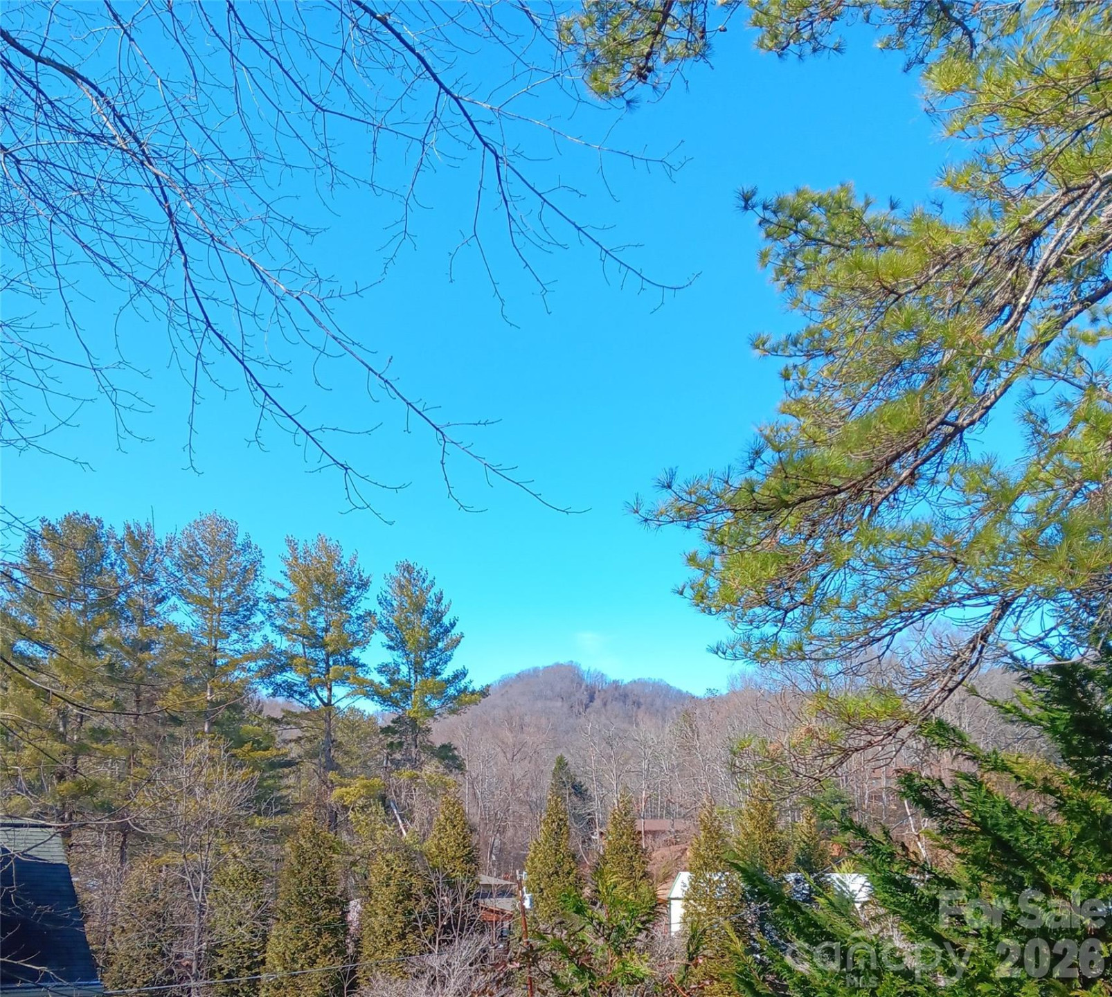 61 White Dogwood Lane - Photo 38