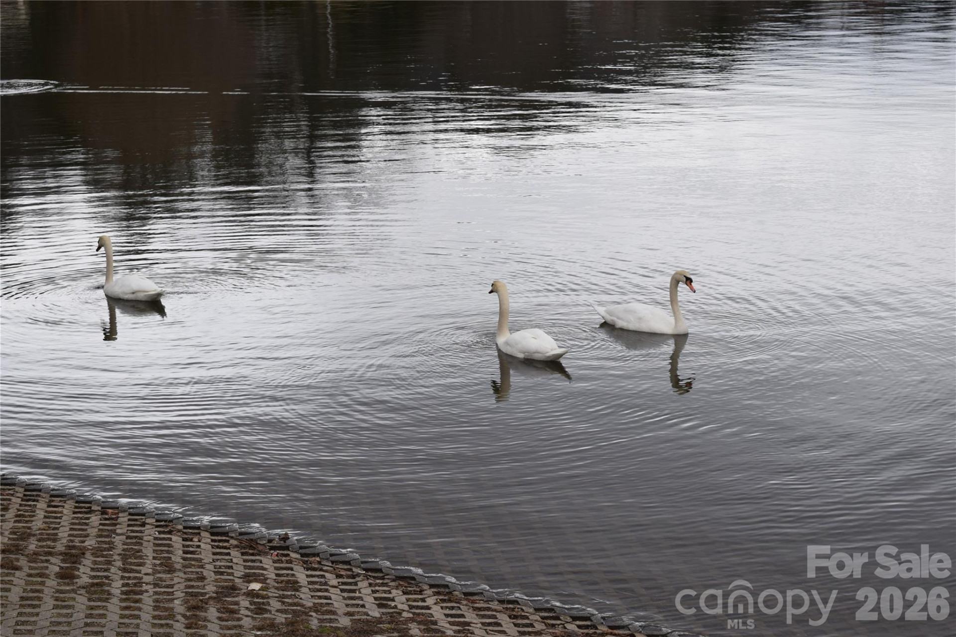 61 White Dogwood Lane - Photo 41