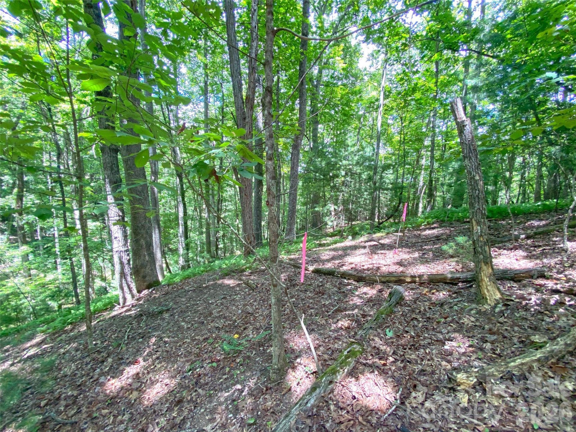 TBD Hickory Tree Lane #23/#28 - Photo 11