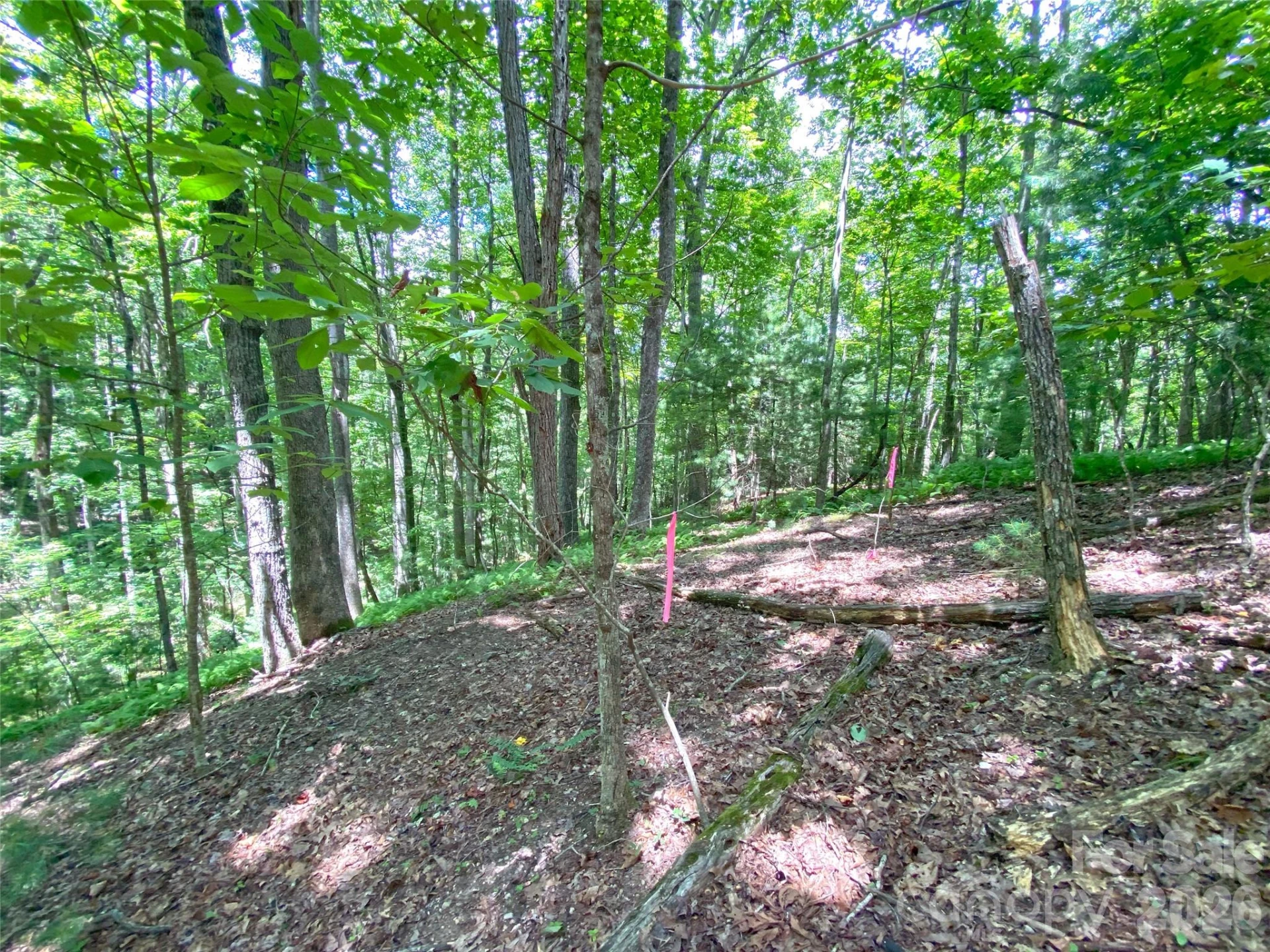 TBD Hickory Tree Lane #23/#28 - Photo 11