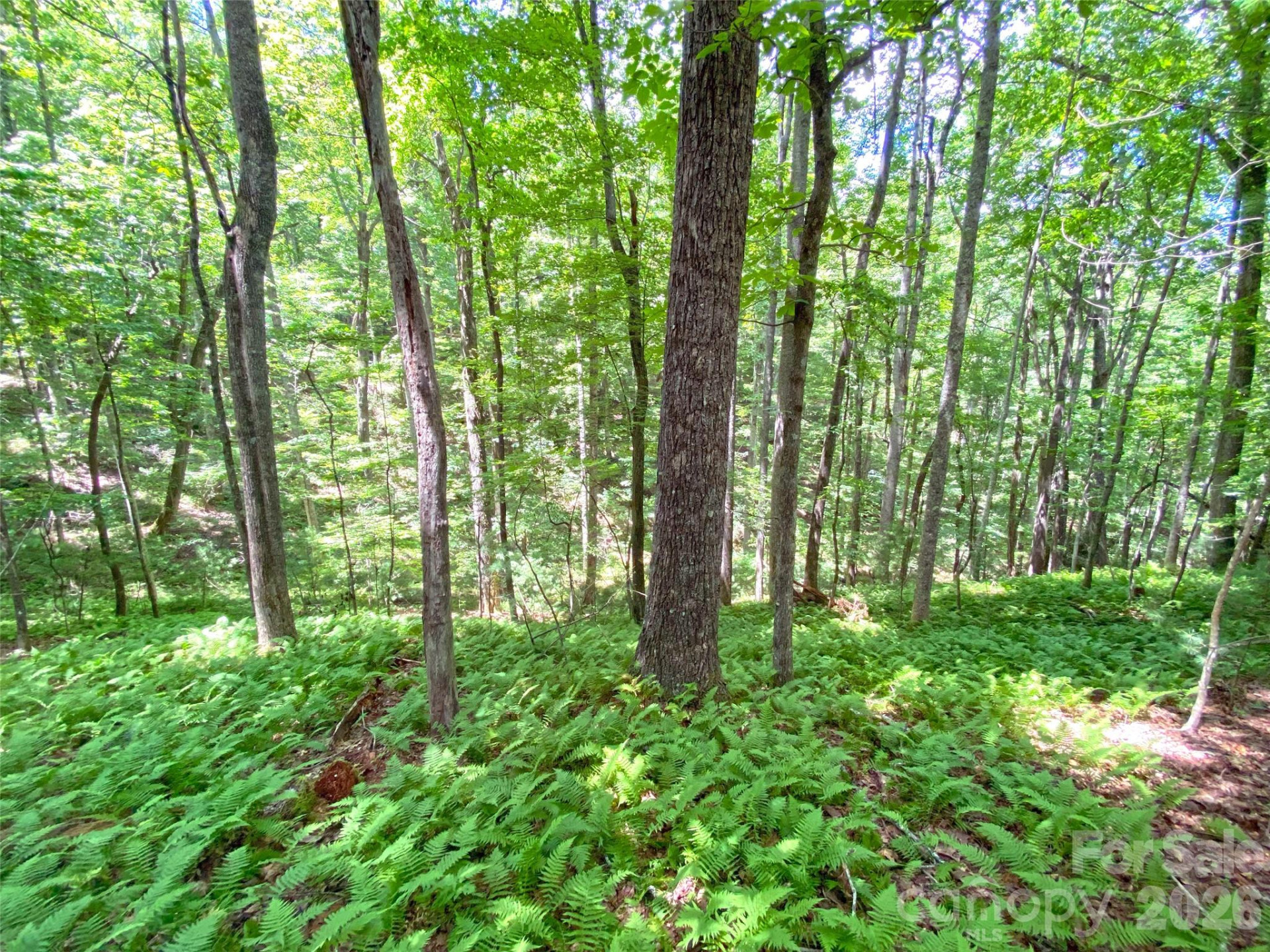 TBD Hickory Tree Lane #23/#28 - Photo 12