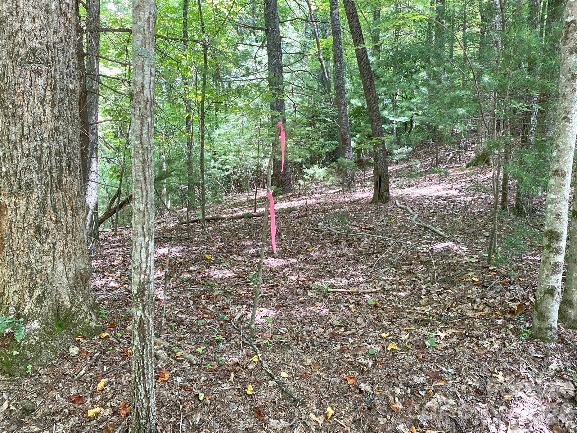 TBD Hickory Tree Lane #23/#28 - Photo 13