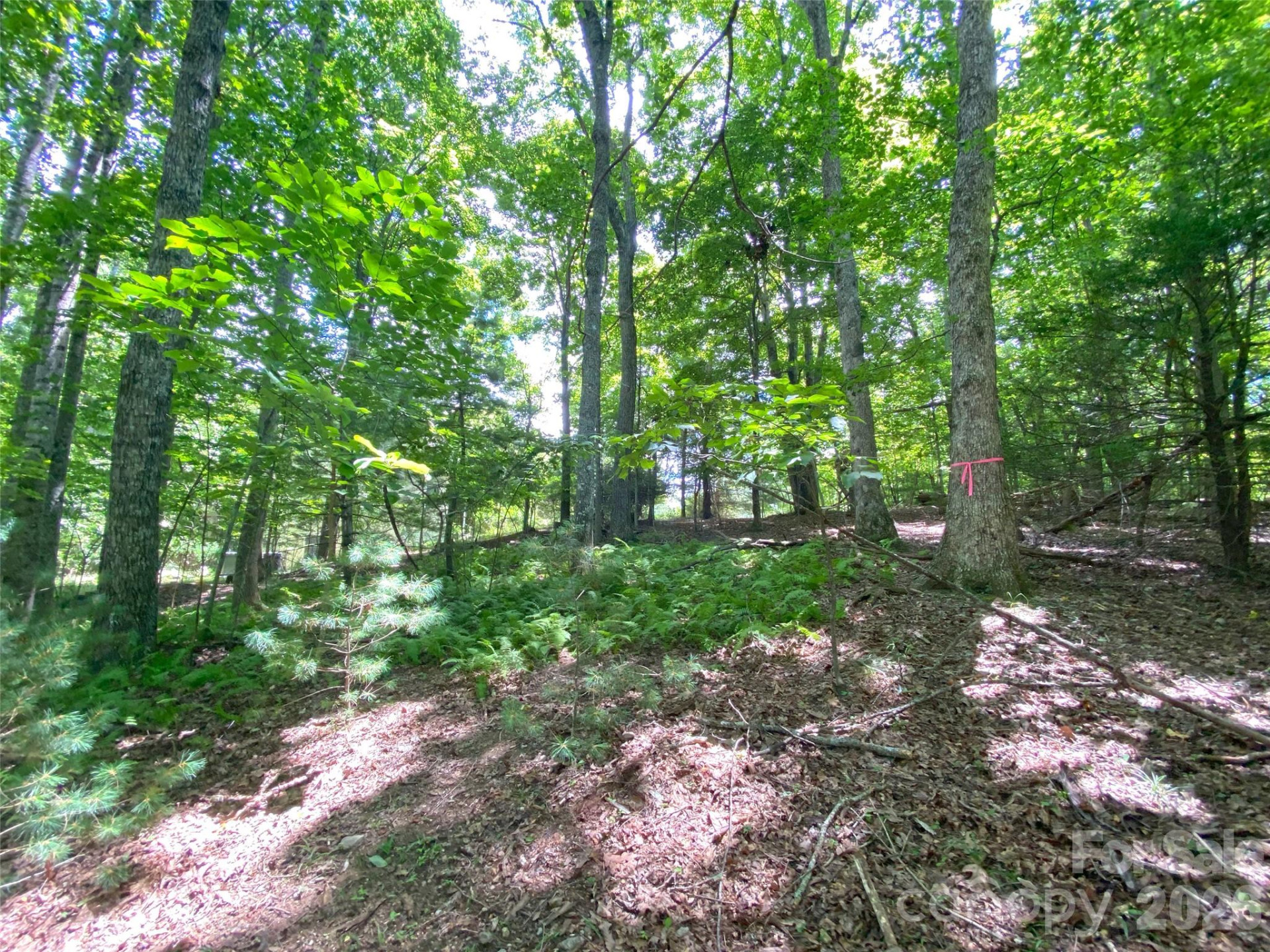 TBD Hickory Tree Lane #23/#28 - Photo 14