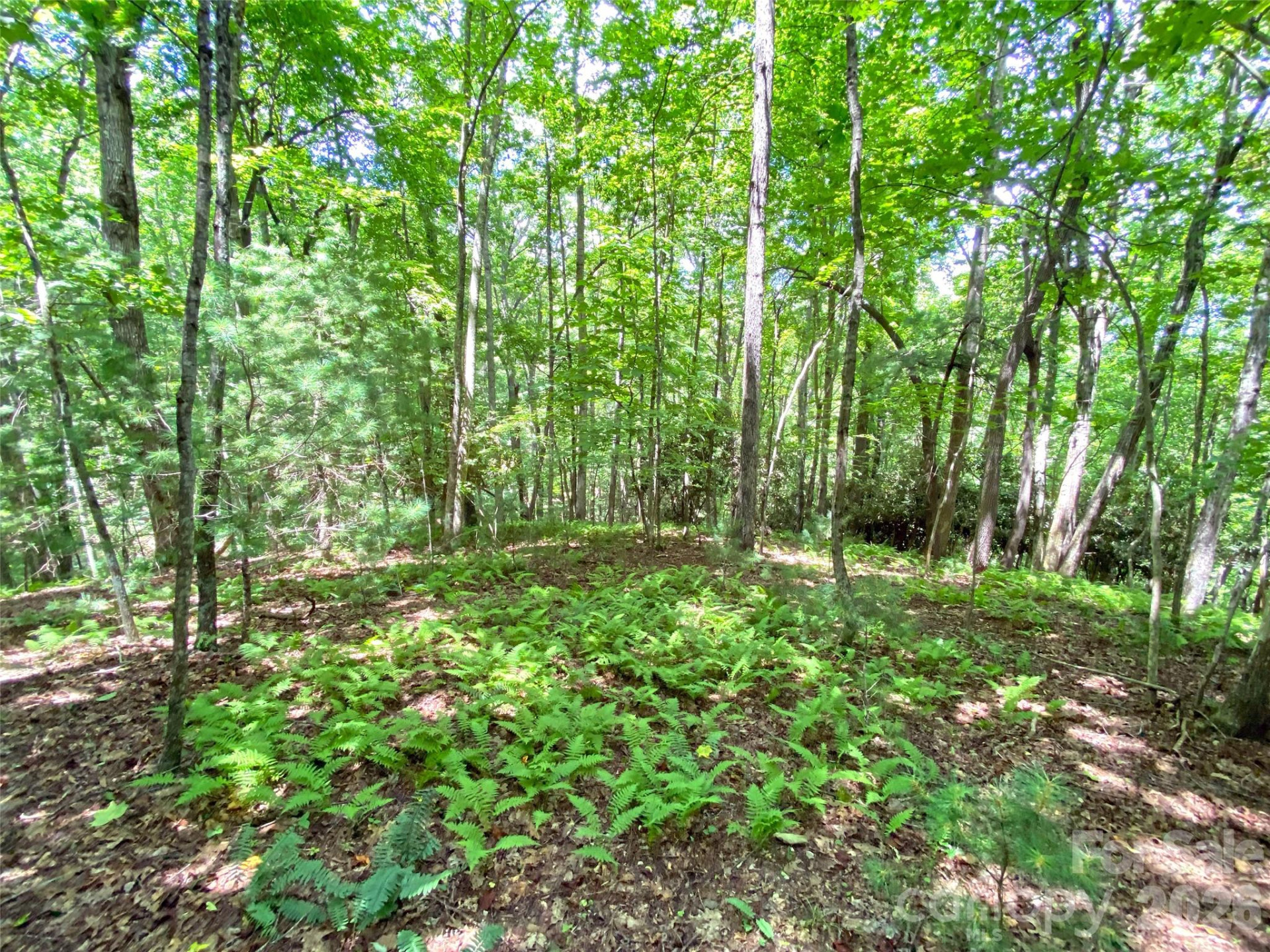 TBD Hickory Tree Lane #23/#28 - Photo 15