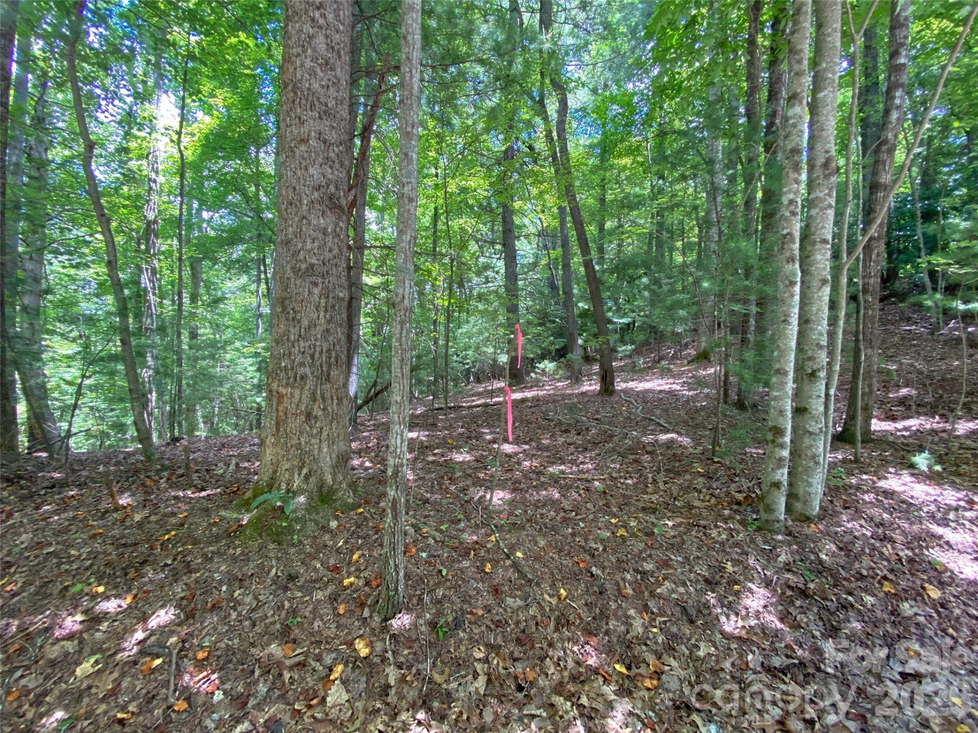 TBD Hickory Tree Lane #23/#28 - Photo 16