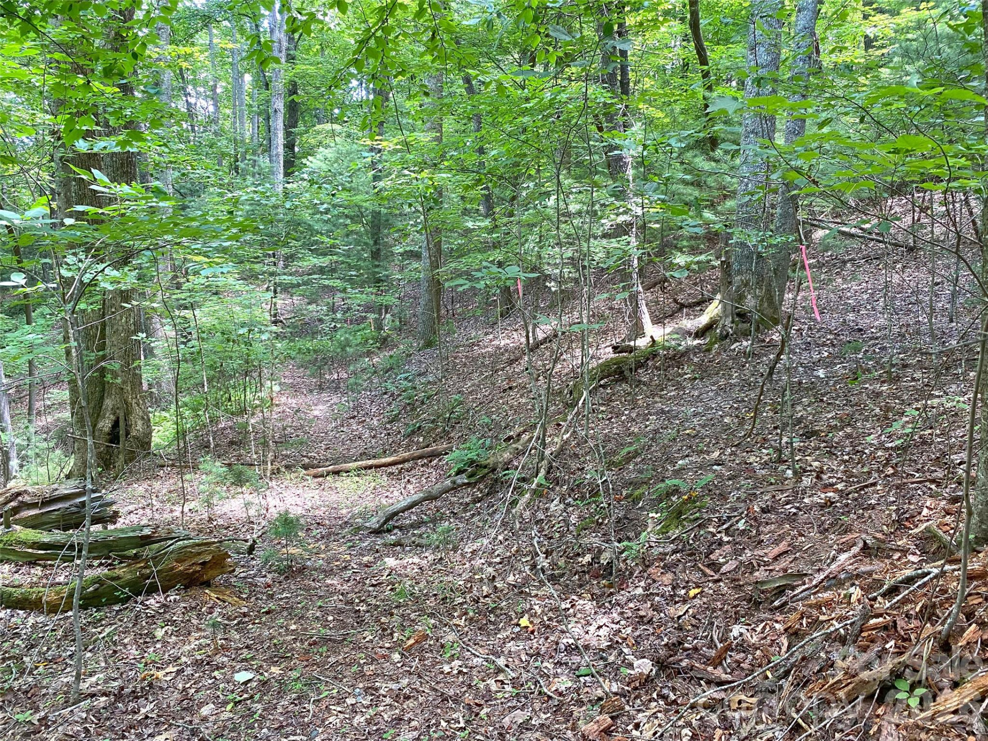 TBD Hickory Tree Lane #23/#28 - Photo 18