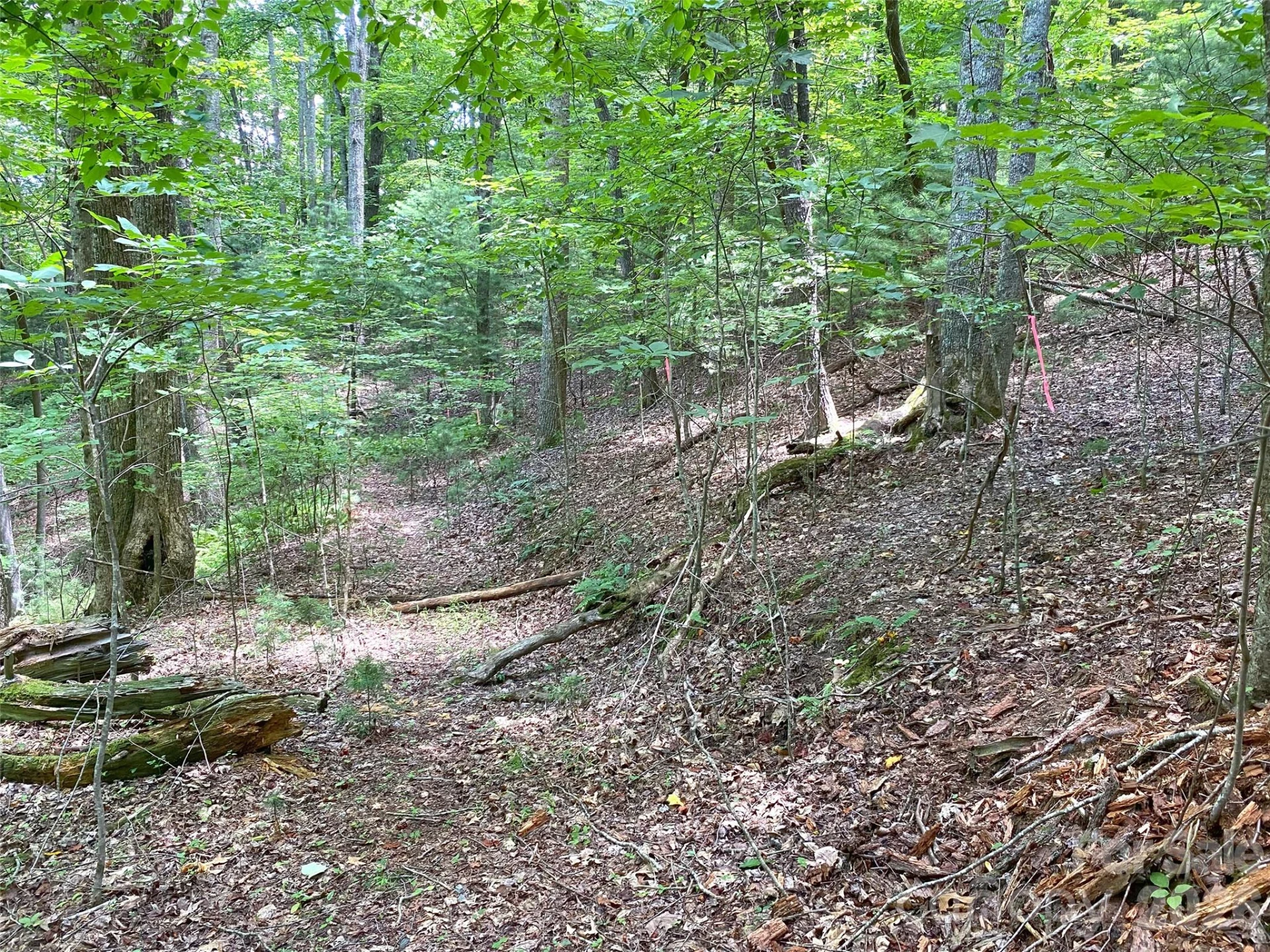 TBD Hickory Tree Lane #23/#28 - Photo 18