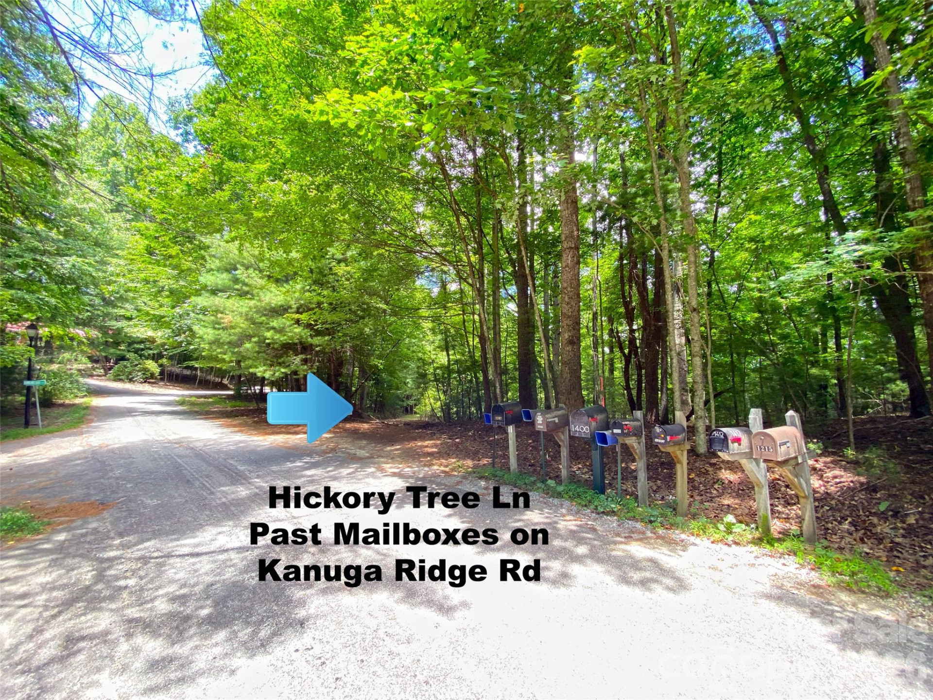 TBD Hickory Tree Lane #23/#28 - Photo 6