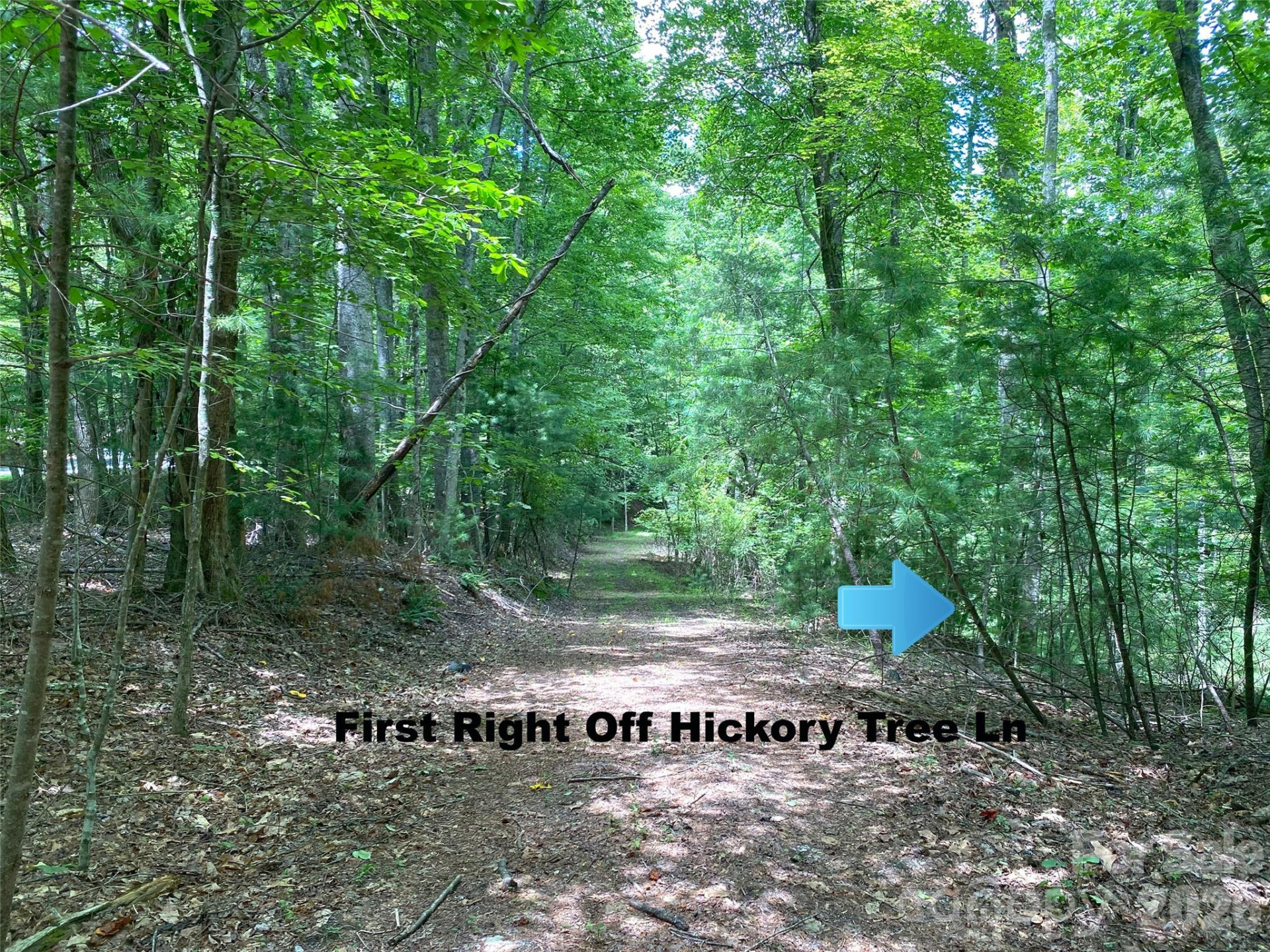 TBD Hickory Tree Lane #23/#28 - Photo 7