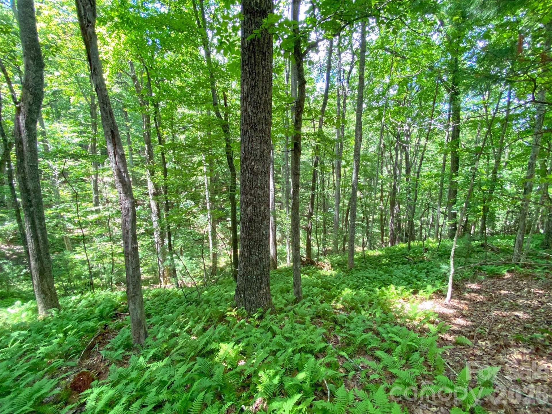 TBD Hickory Tree Lane #23/#28 - Photo 10