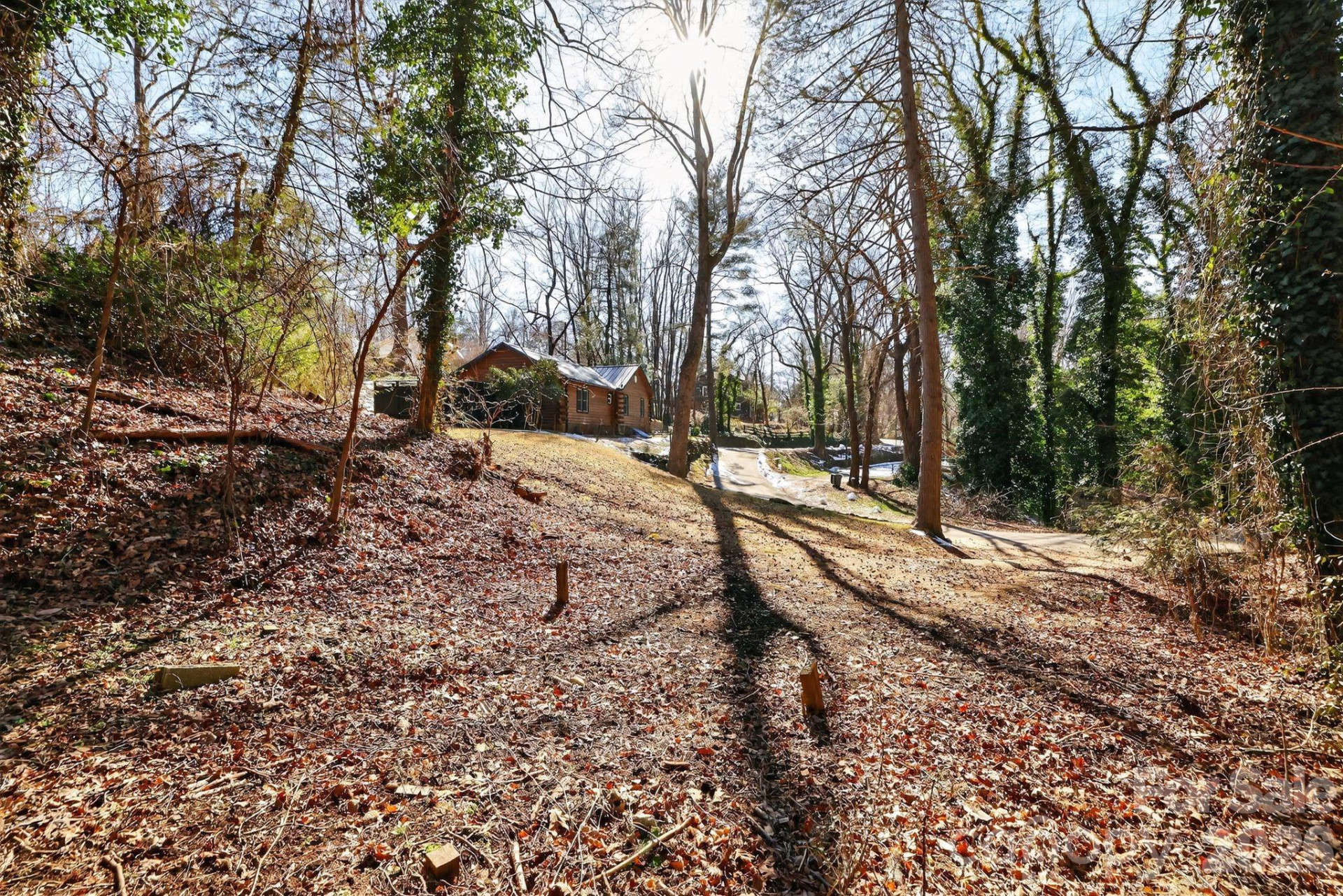 110 Pine Street - Photo 15